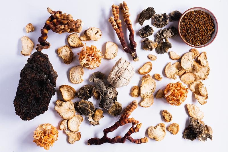Stay Wyld Organics is a mushroom company offering organic mushroom supplements designed to promote immunity, cognitive function, health, and energy in your daily life. All of our mushrooms are grown at our state-of-the-art facility in Pemberton, BC.