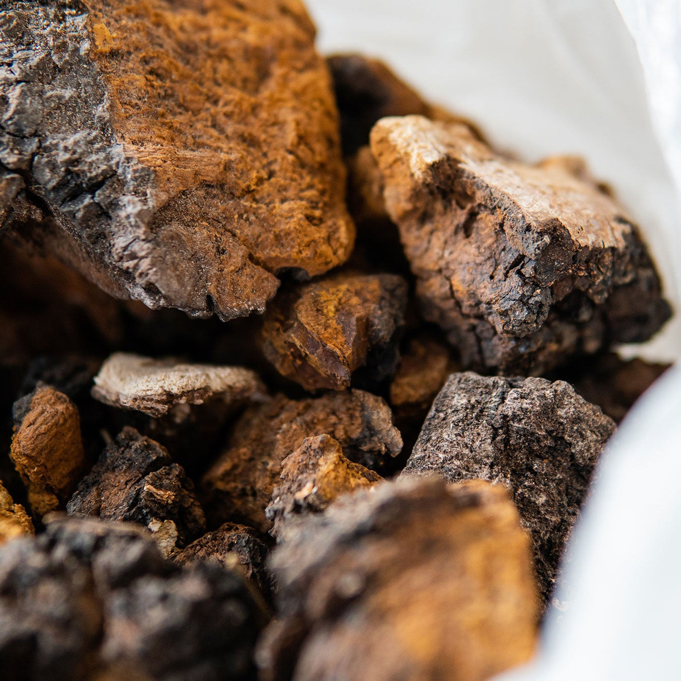 Close-up of chaga mushroom in a white bag