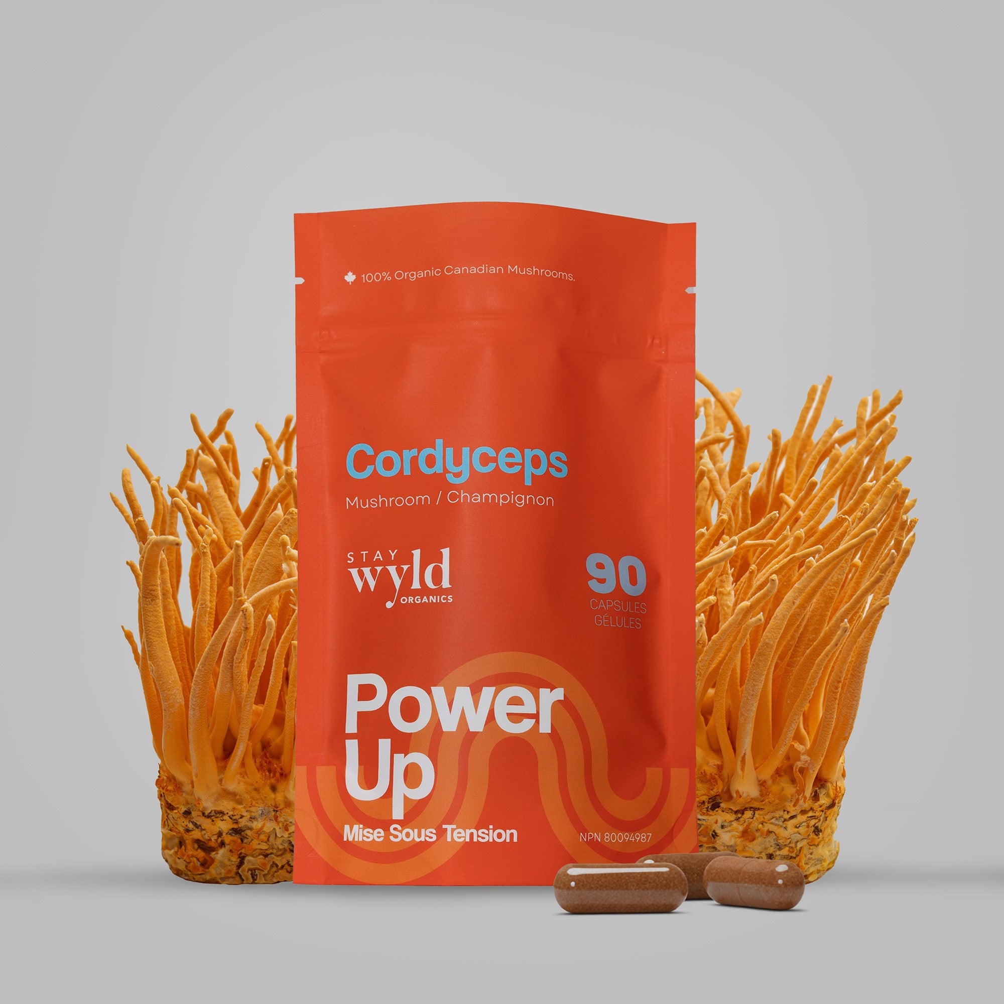 Cordyceps Mushroom Capsules