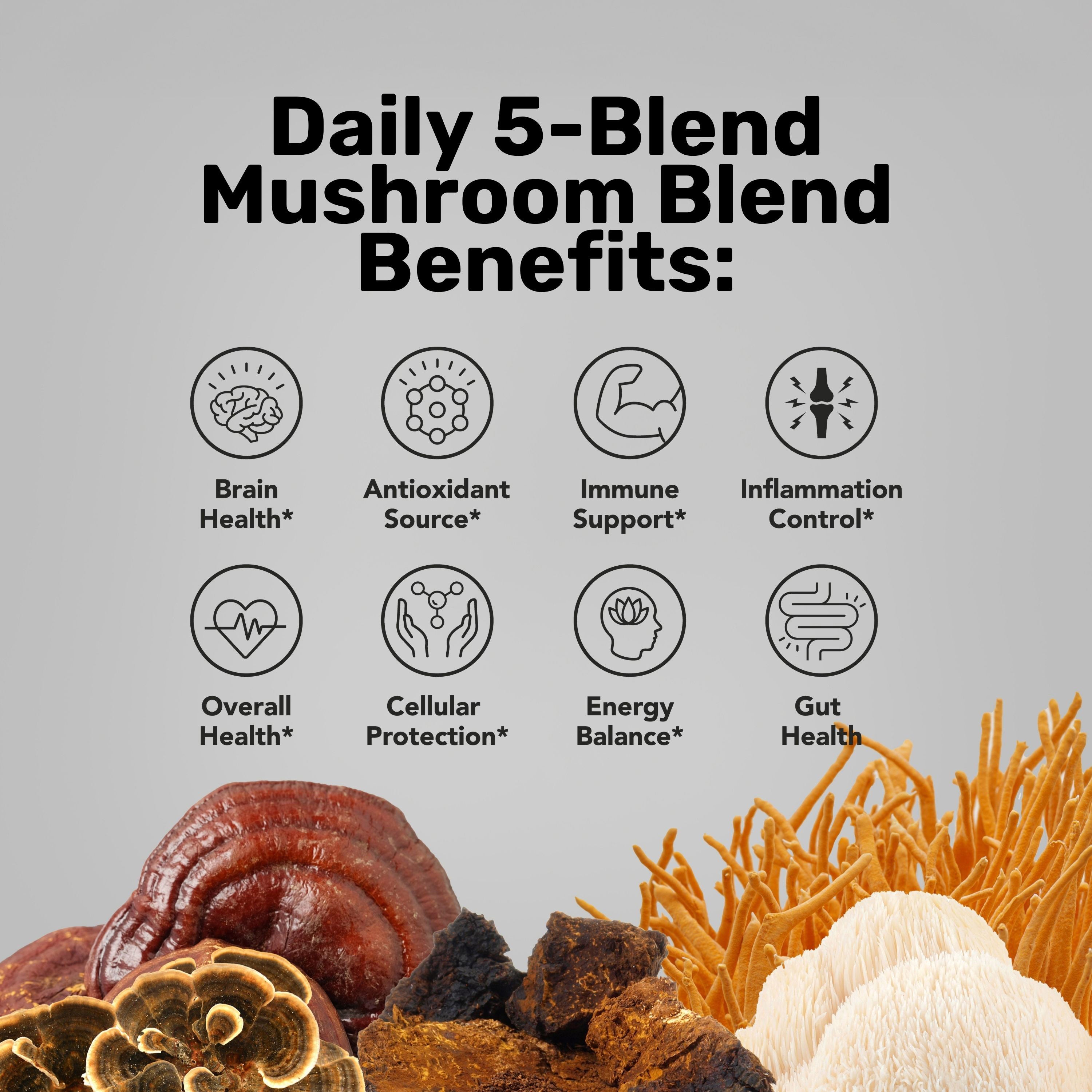 Poudre à 5 mélanges d'immunité quotidienne