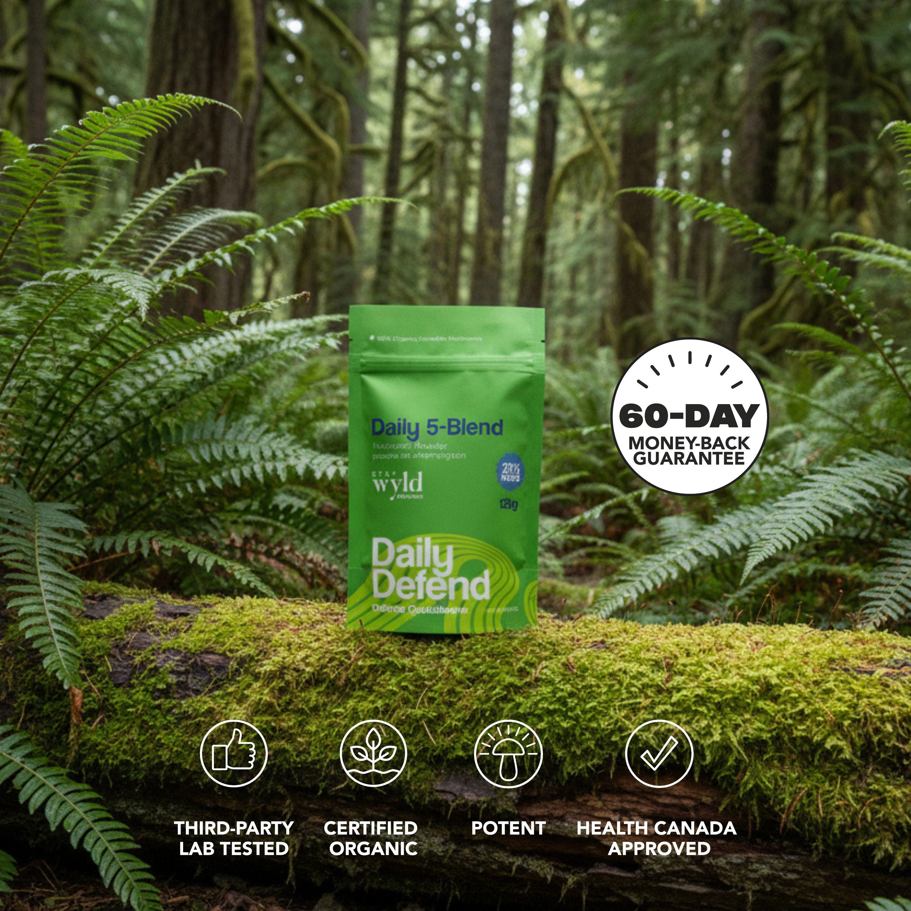 Poudre à 5 mélanges d'immunité quotidienne