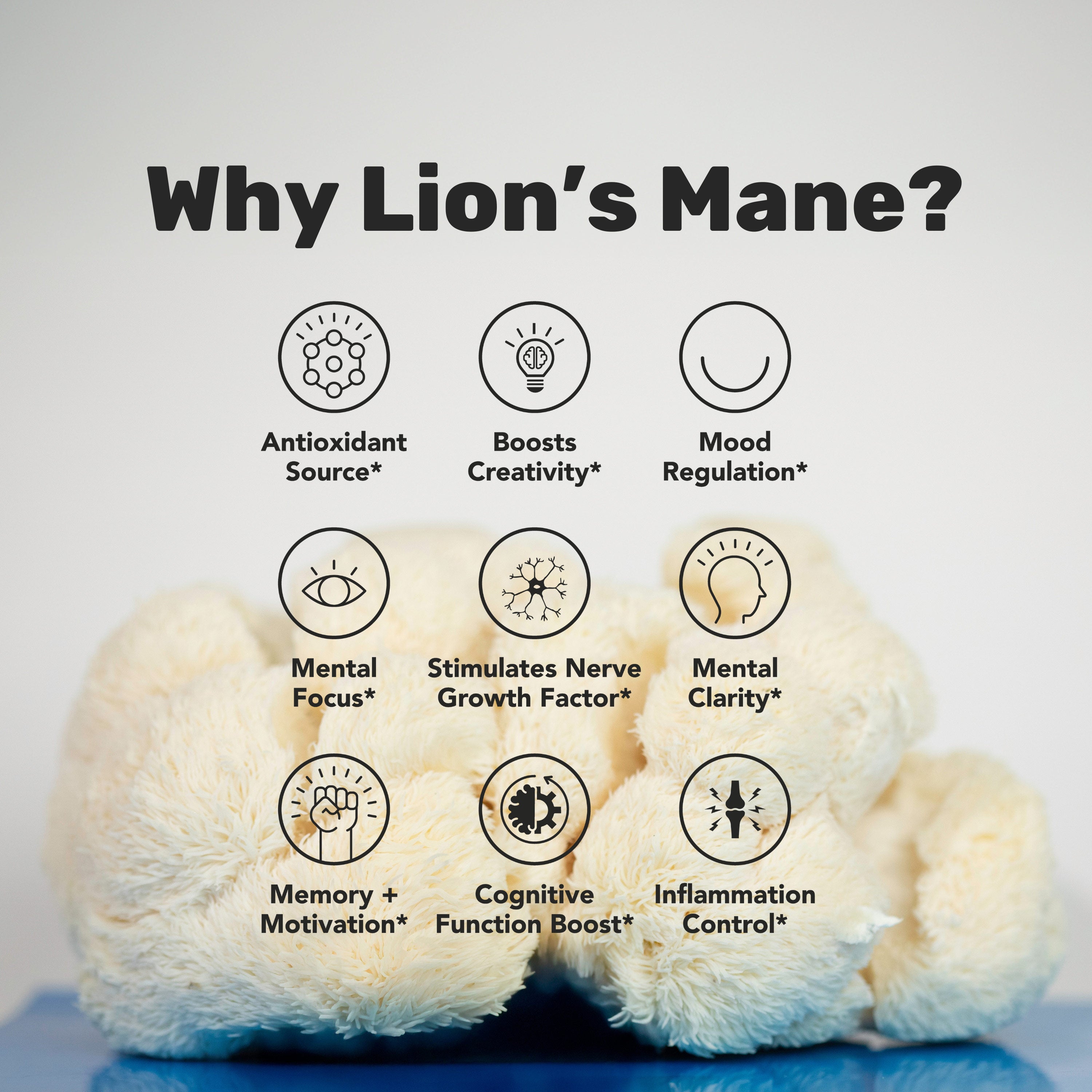 Lion's Mane Mushroom Powder