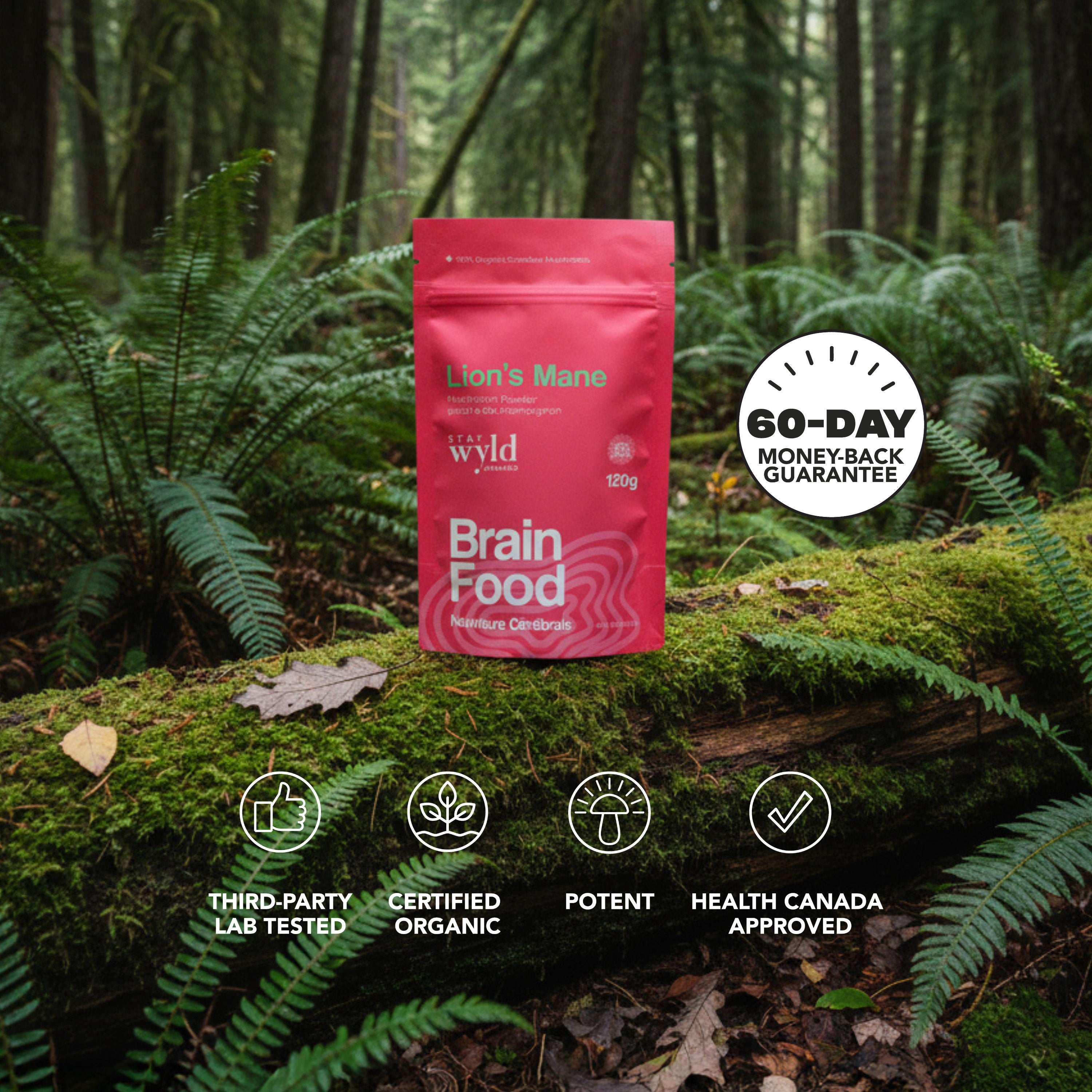 Lion's Mane Mushroom Powder