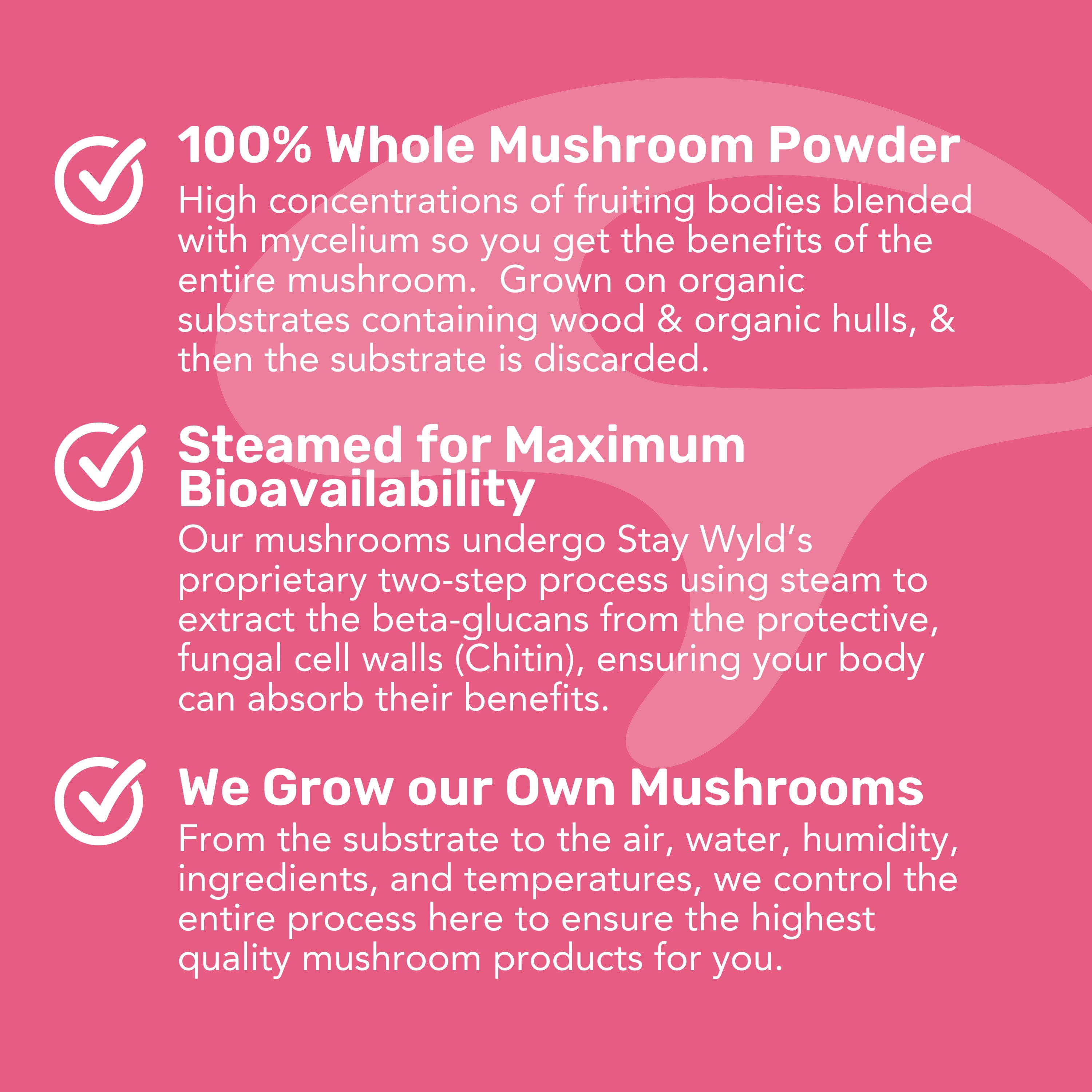 Lion's Mane Mushroom Powder
