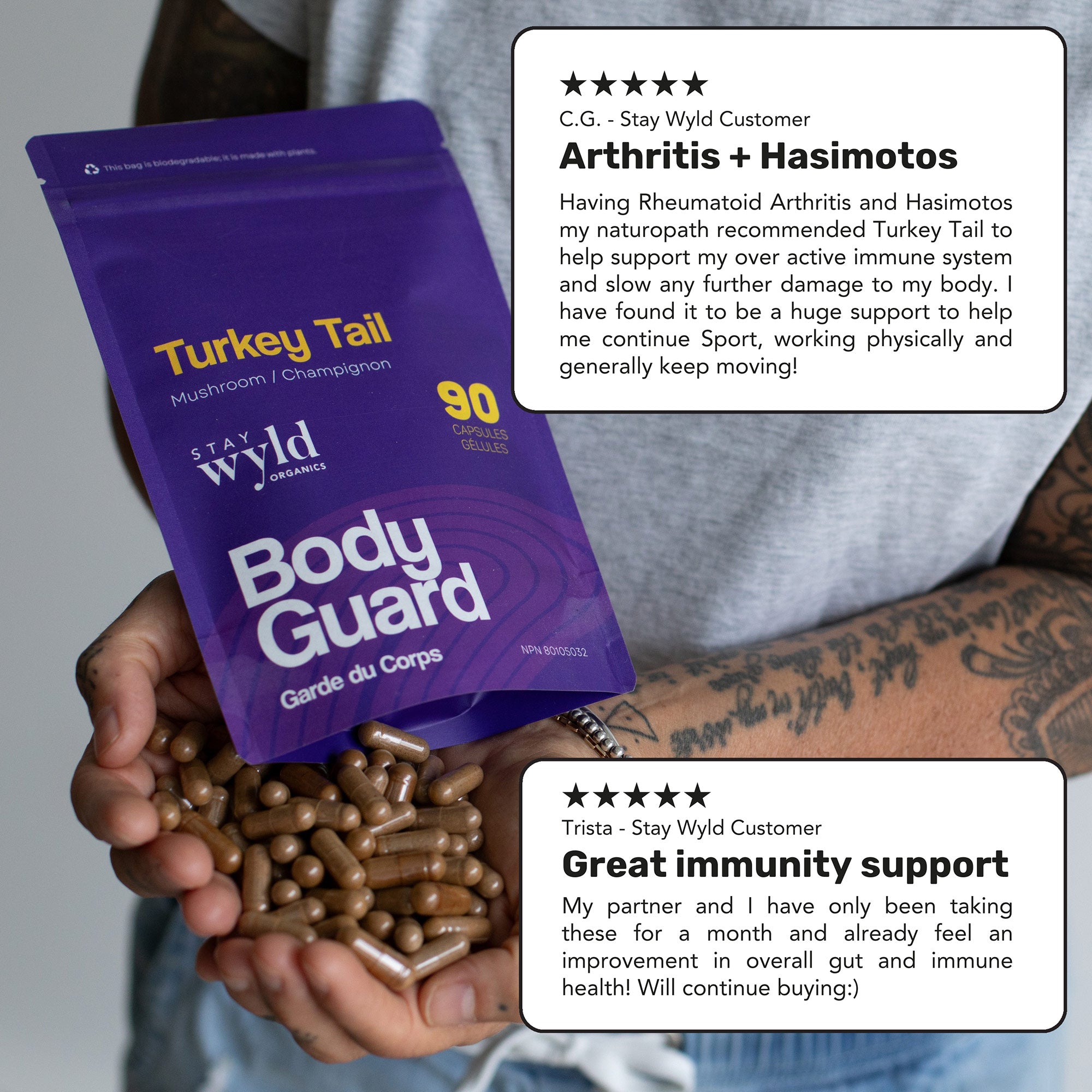 Capsules de champignons de queue de dinde