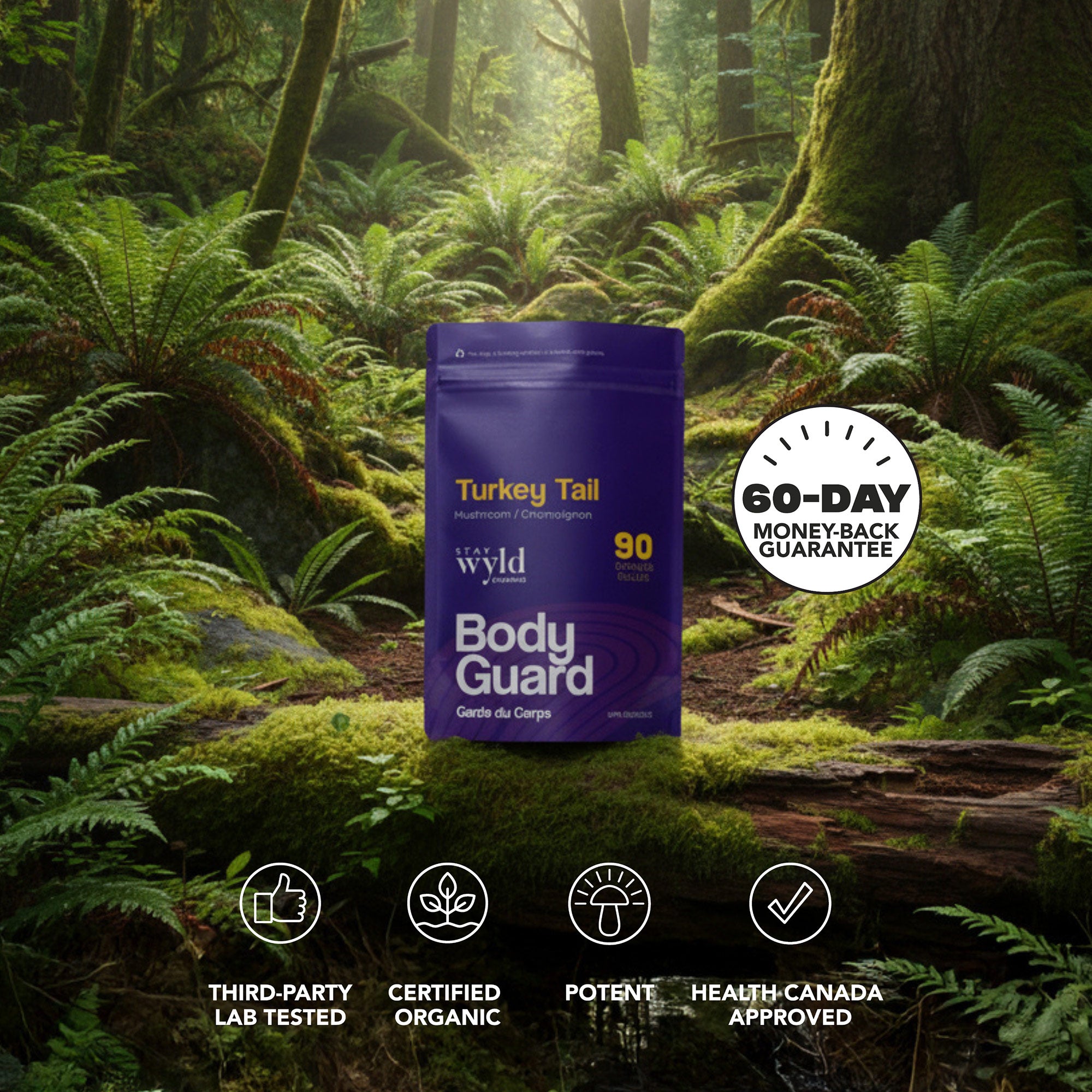 Capsules de champignons de queue de dinde