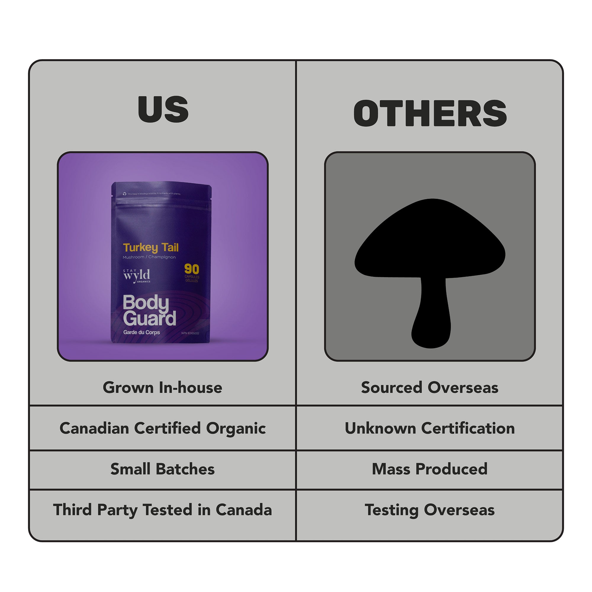 Capsules de champignons de queue de dinde