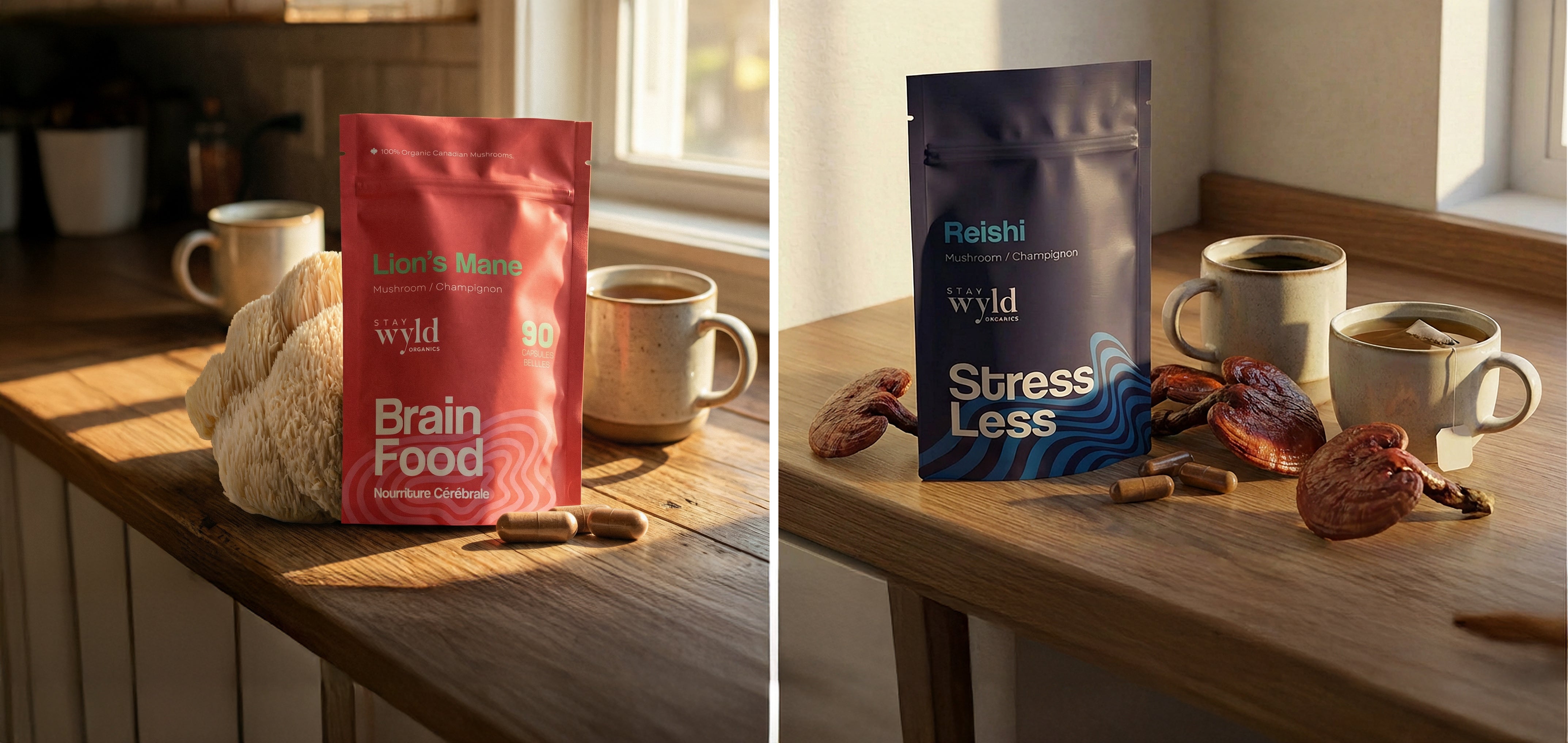 A Mushroom-Powered 2026: Why Consistency Beats Perfection