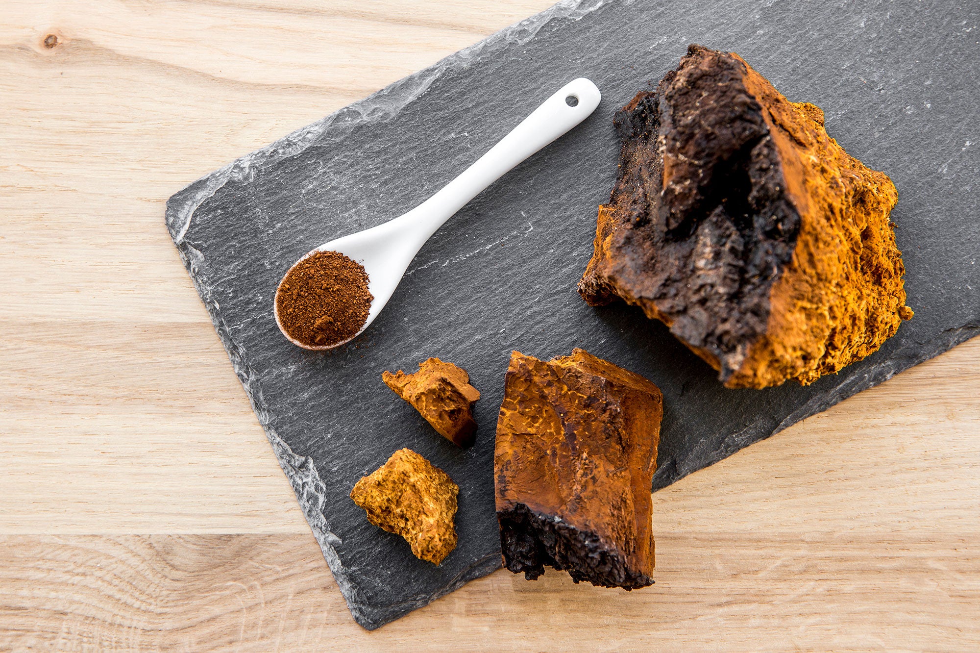 A photo of Chaga mushrooms. 