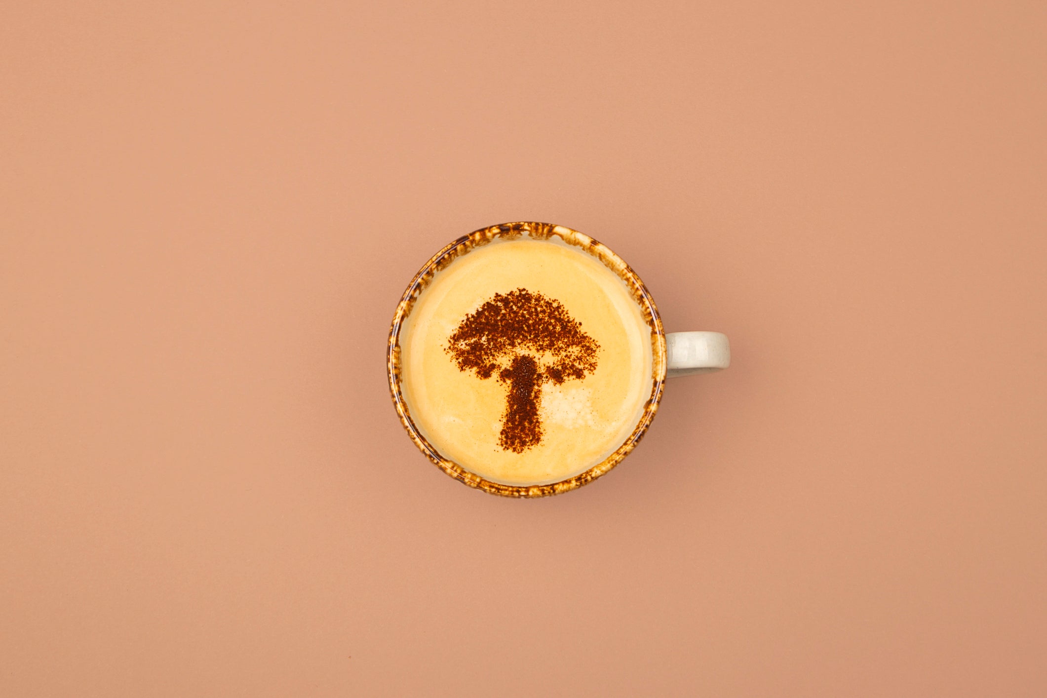 Mushroom Coffee and Regular Coffee: How Do They Compare?