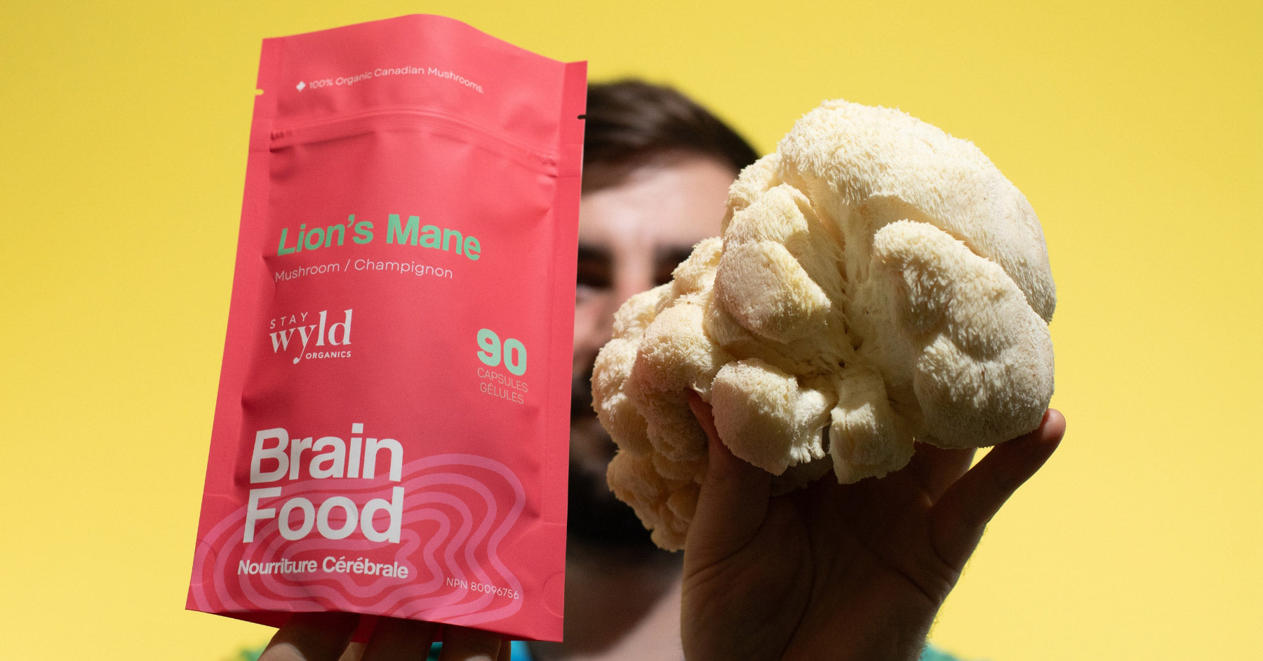 Lion’s Mane Mushroom &amp; Brain Health: The Science Behind Erinacines