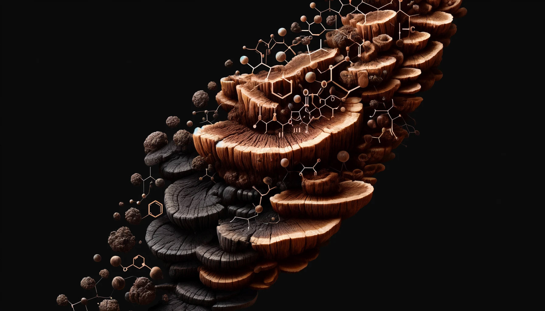 Melanin and Chaga: A Symbiotic Relationship in Fungal Biology