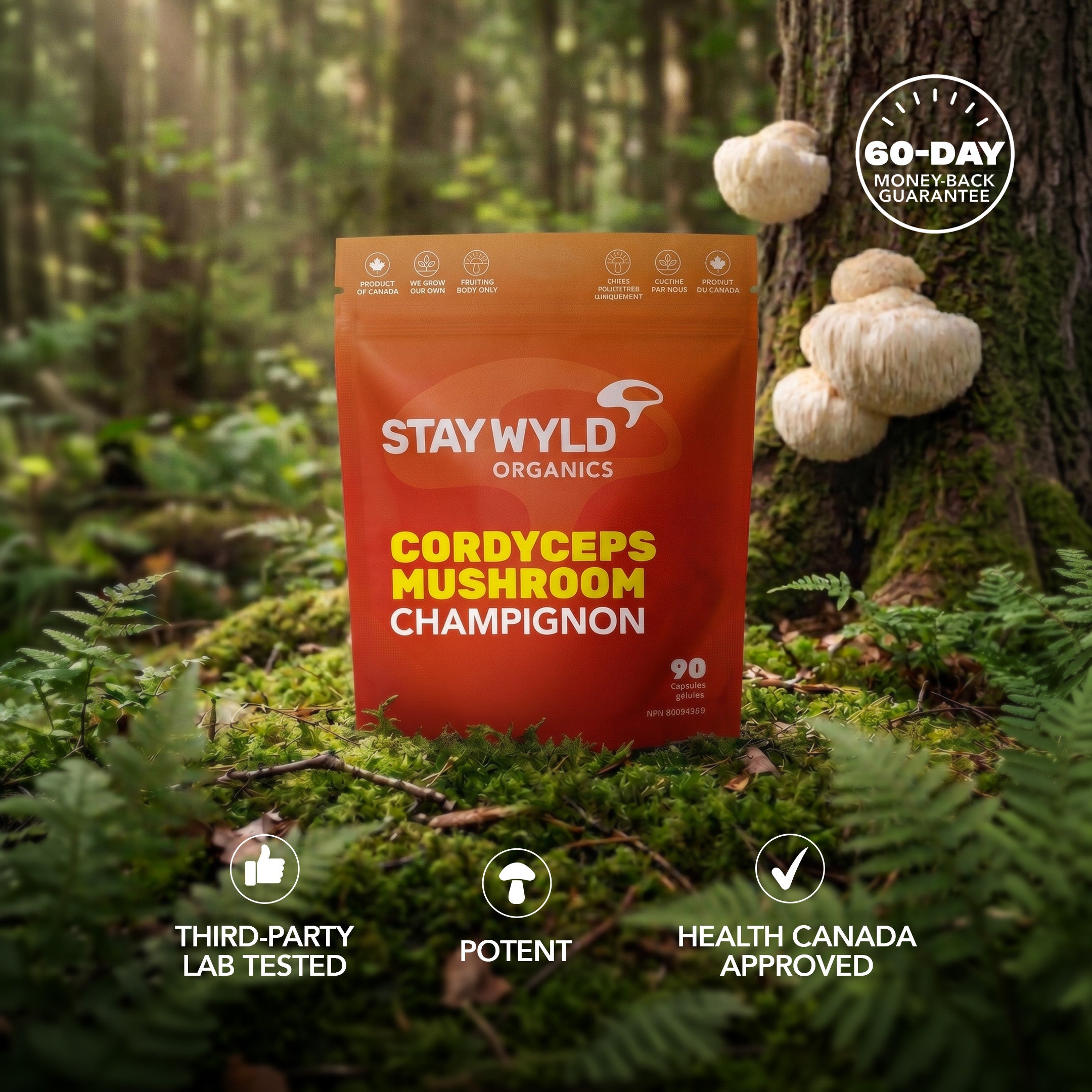 Cordyceps Mushroom Capsules | 90 Capsules