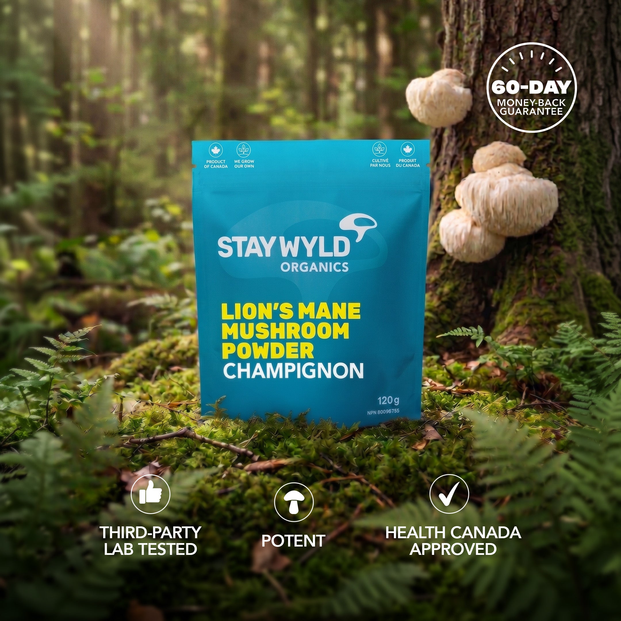 Lion's Mane Mushroom Powder | 120g