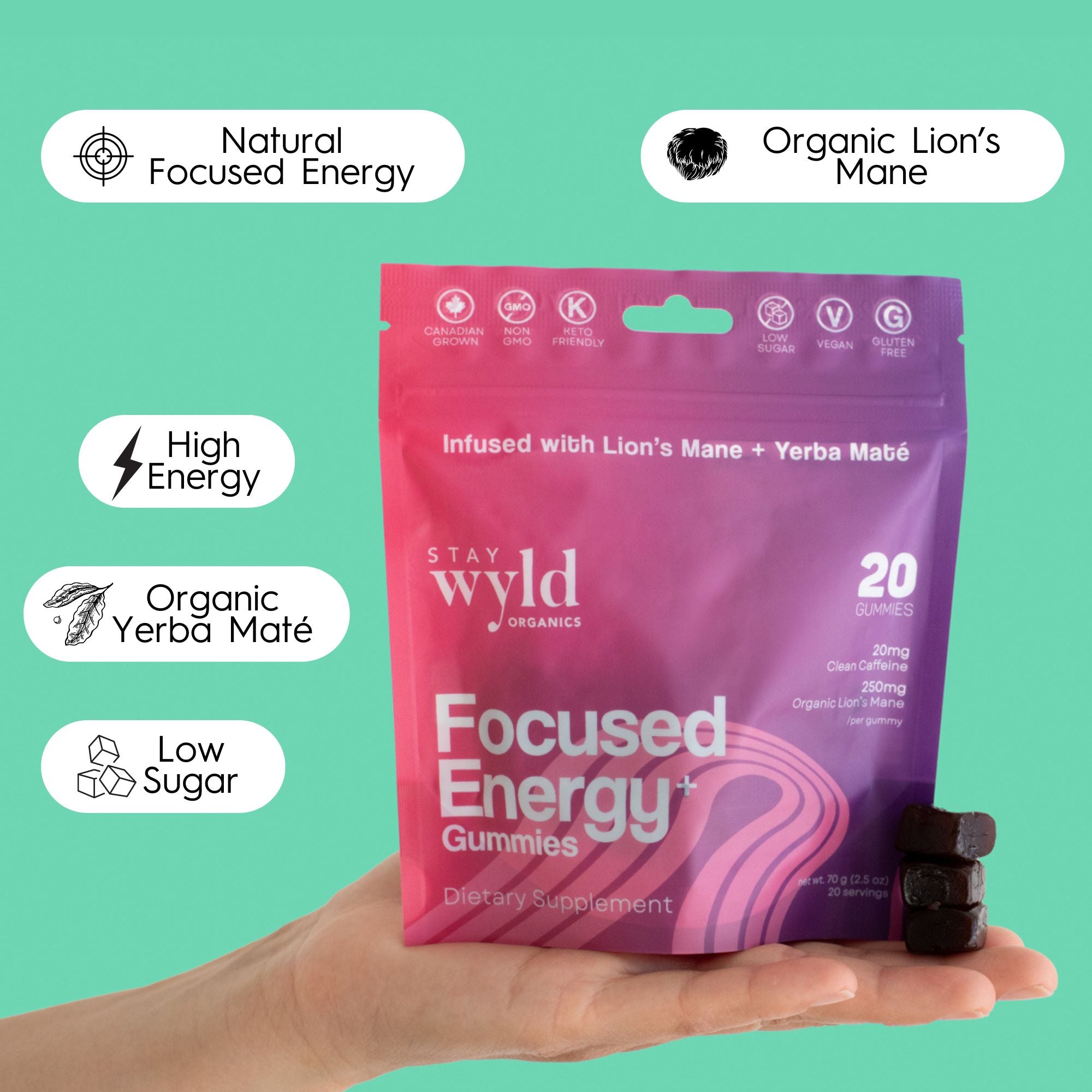 Focused Energy Gummies | 20 pack