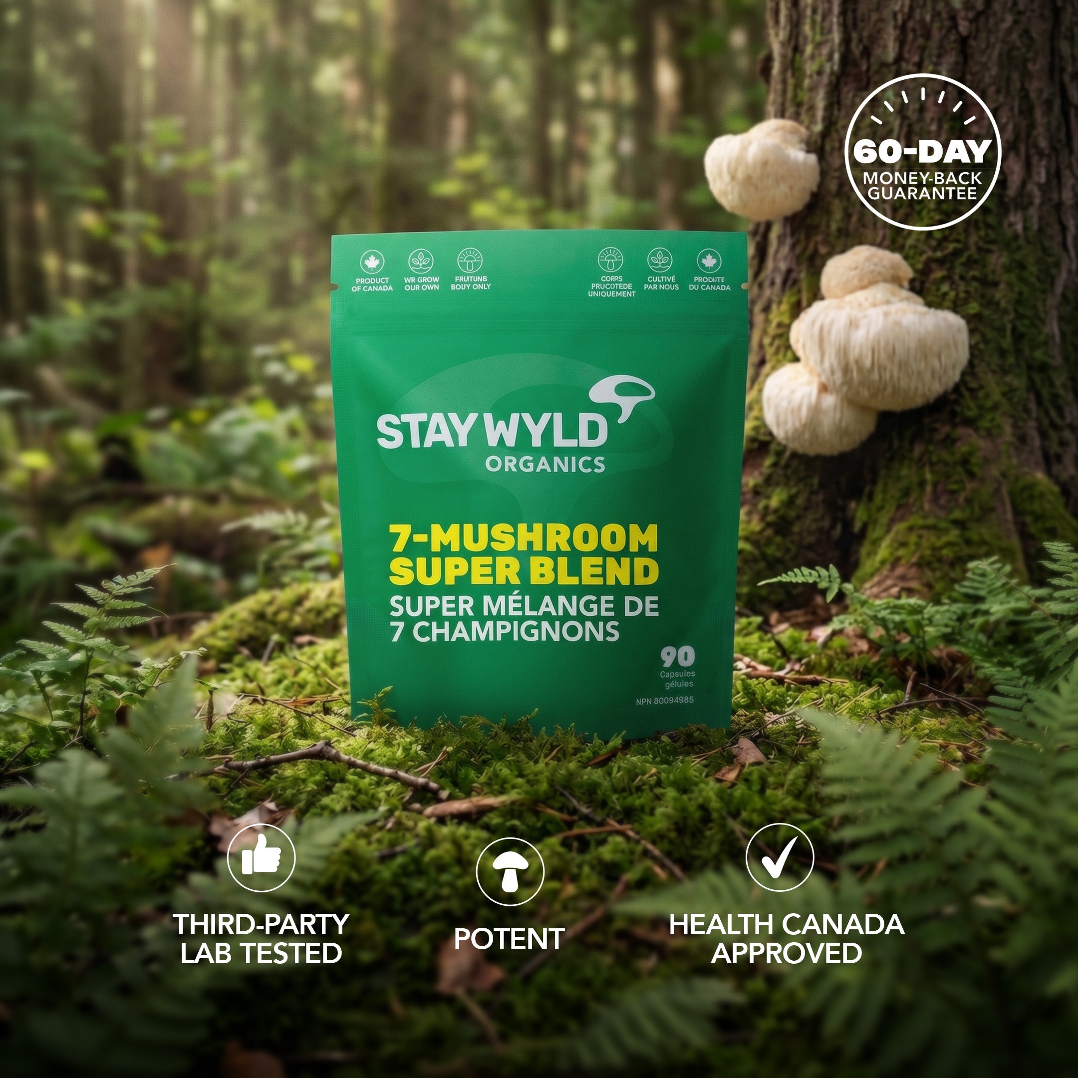 Daily Immunity 7-Blend Capsules | 90 Capsules