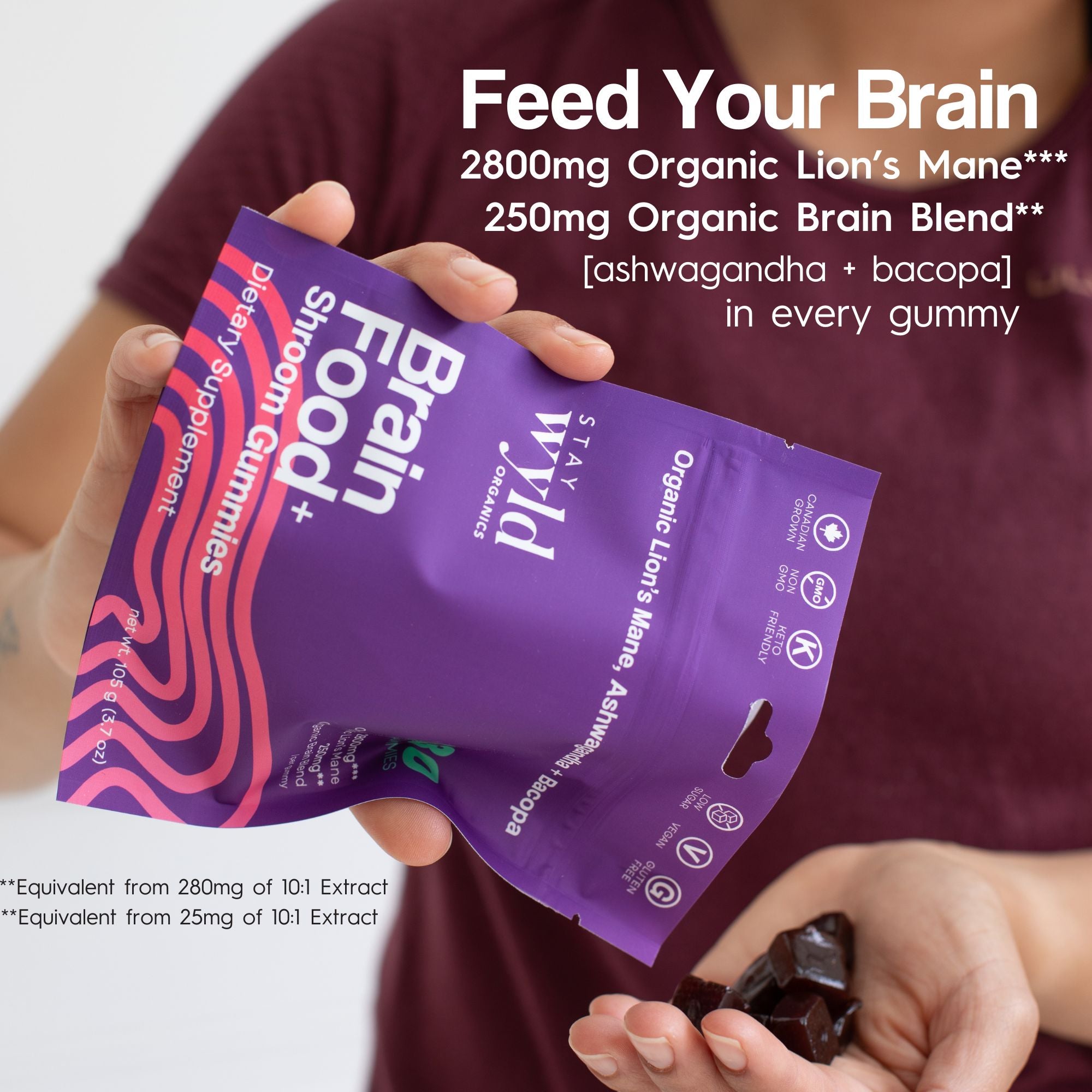 Brain Food Mushroom Gummies | 30 pack