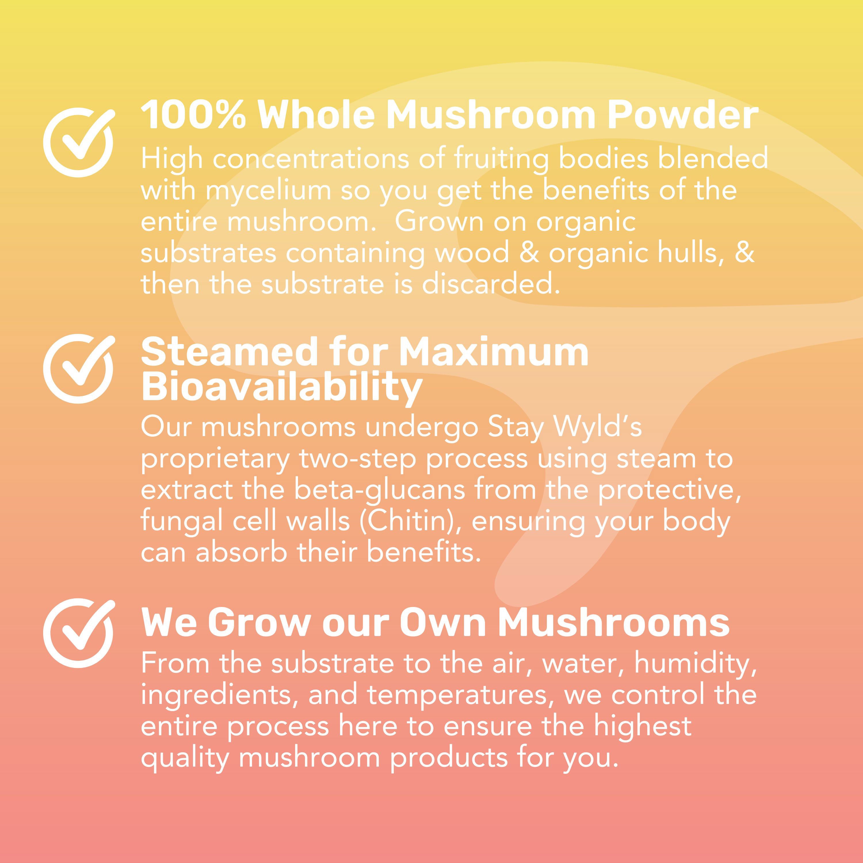 Just Peachy Electrolytes X Lion’s Mane | Stand-up Pouch