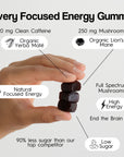 Focused Energy Gummies | 20 pack