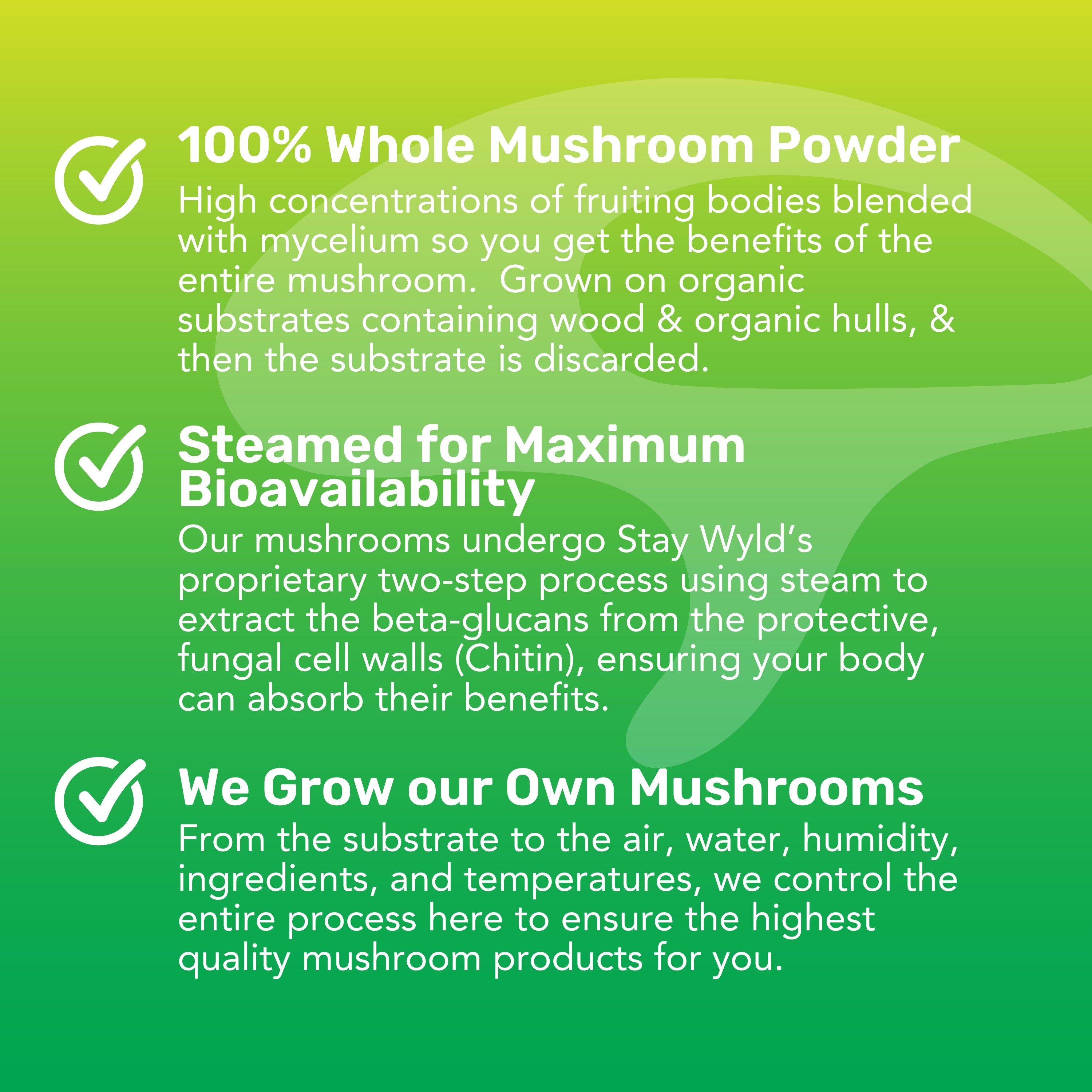 LST : Thé liquide aux champignons