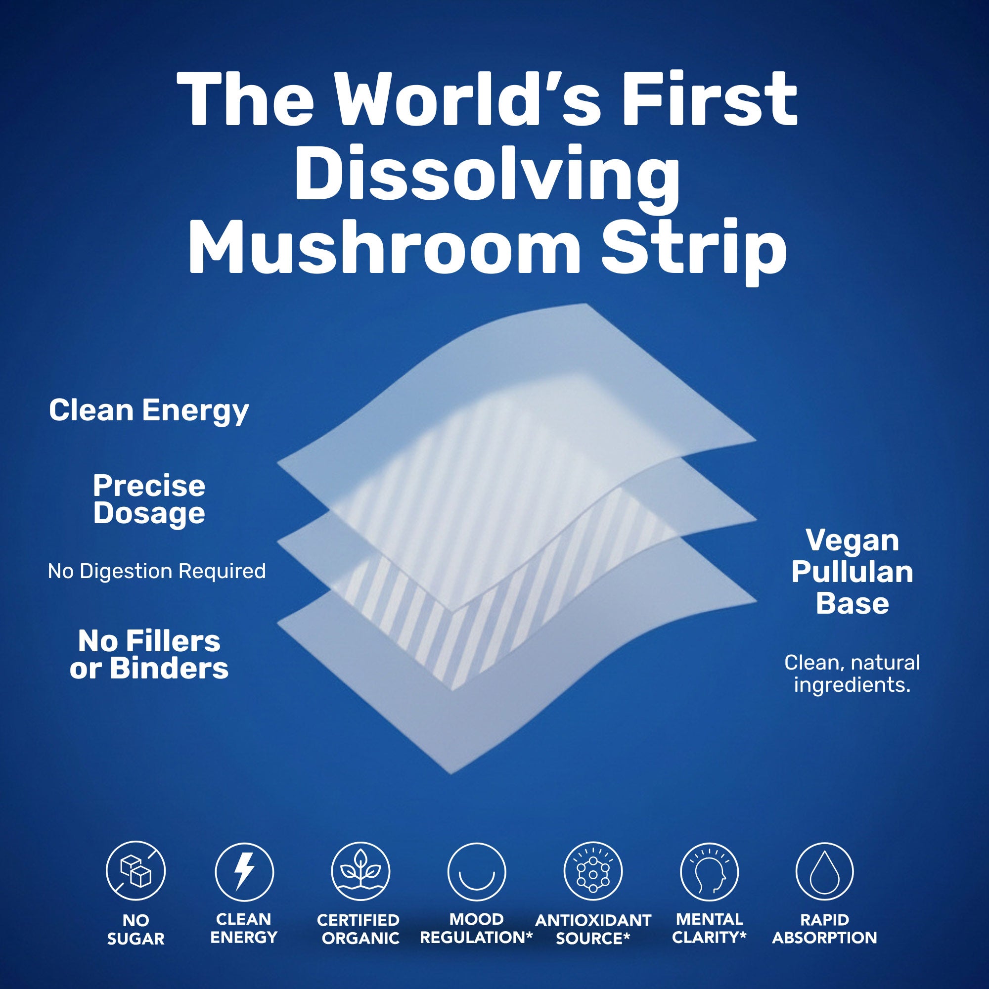 LST Energy Strips |  | Instant Absorption