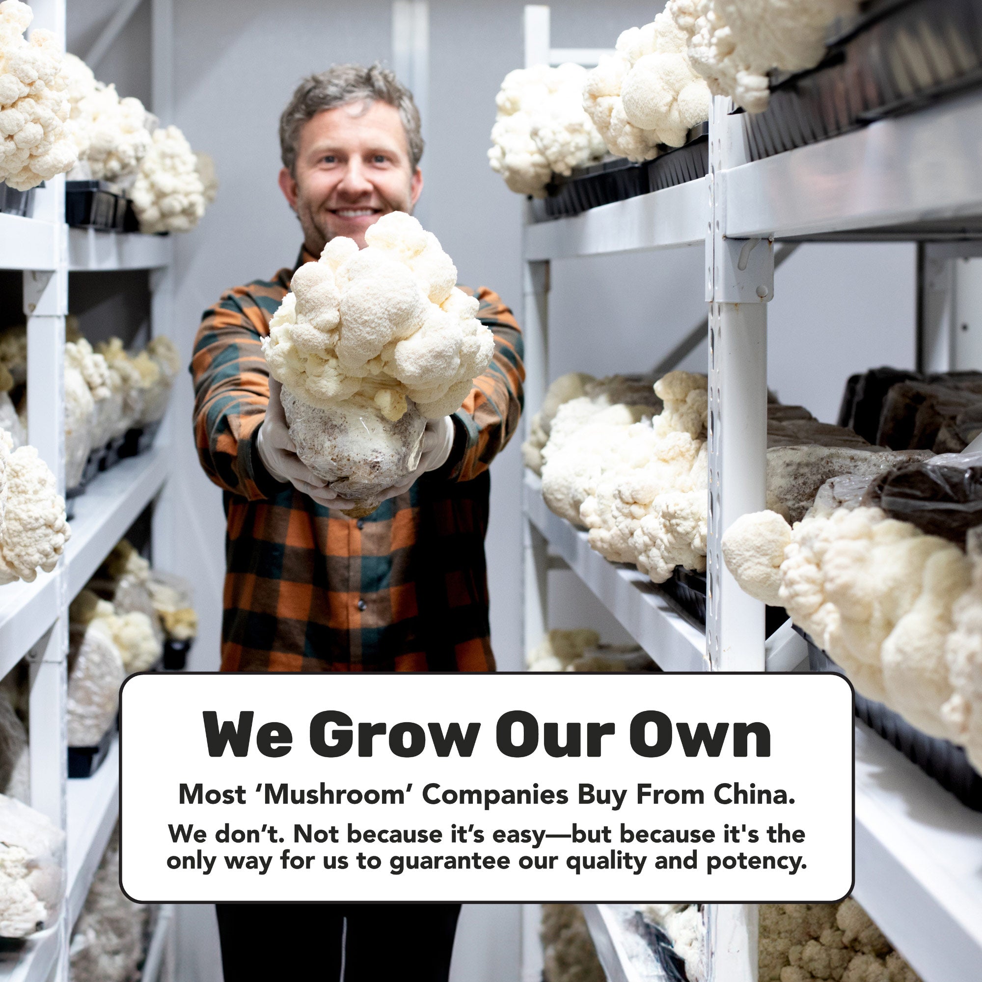 Energy x Immunity Strip Bundle | 20% Bundle Savings