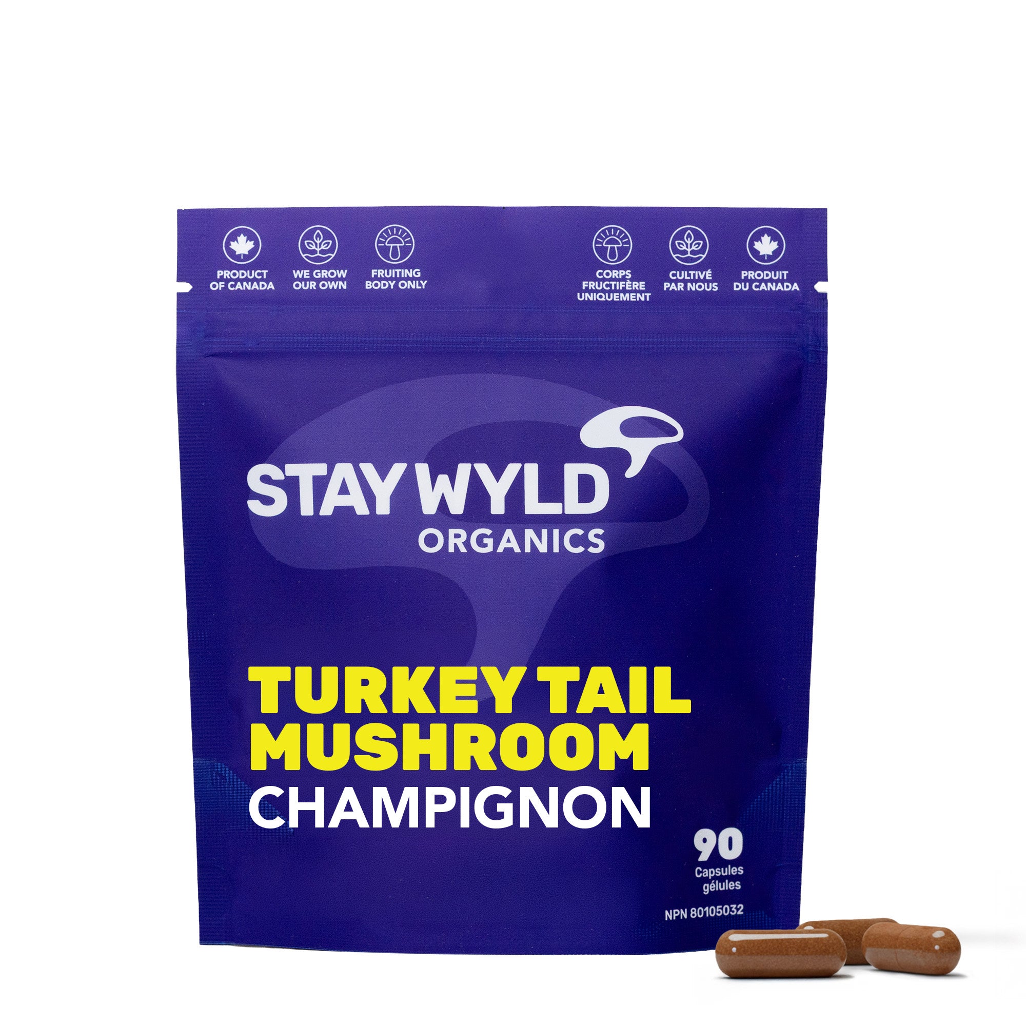 Turkey Tail Mushroom Capsules | 90 Capsules