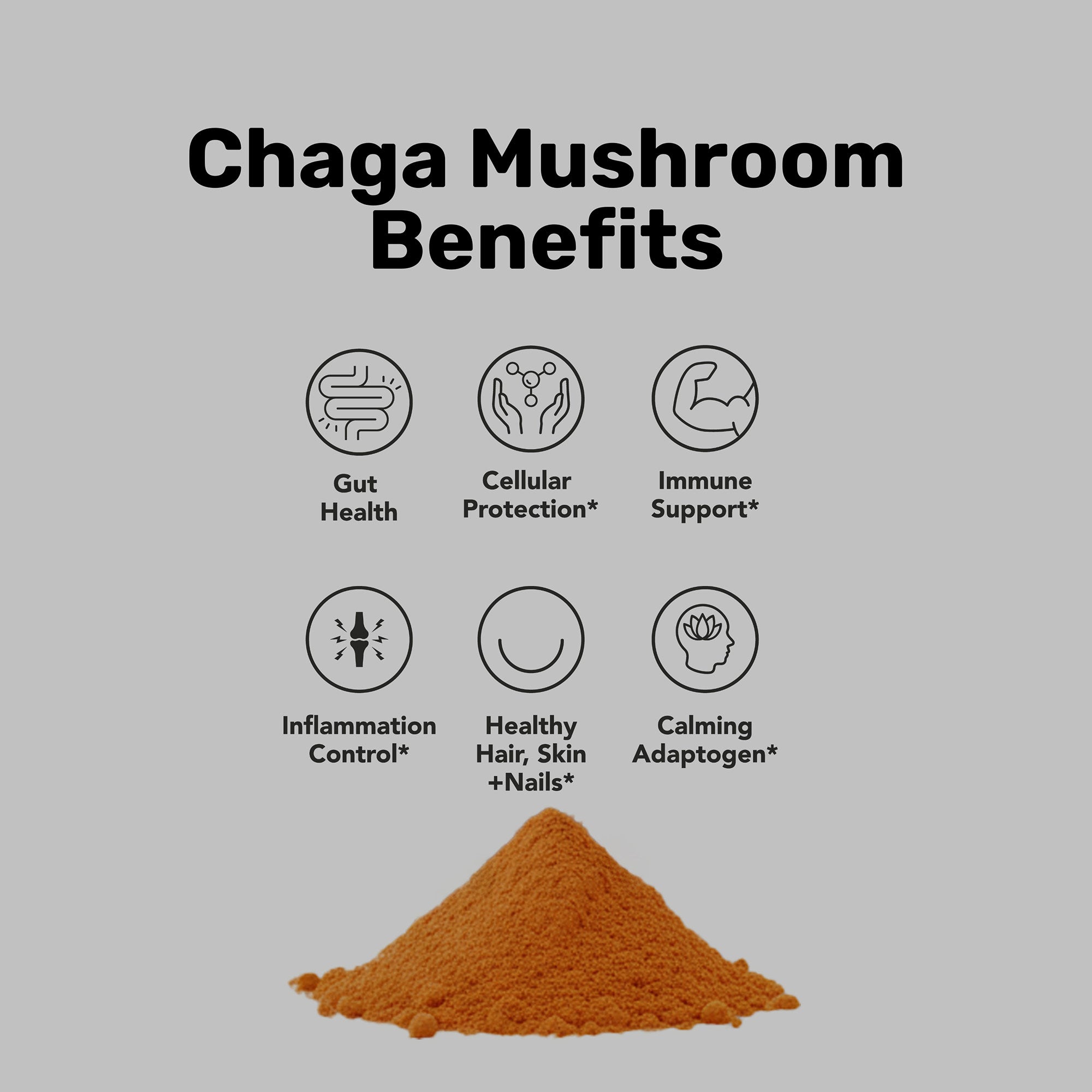 Poudre de champignon Chaga en vrac (1kg)