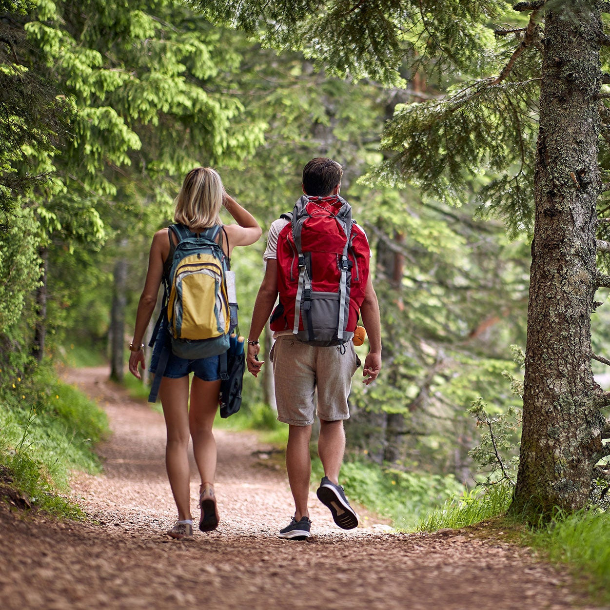 Two people hiking on a trail through a forest with backpacks.
