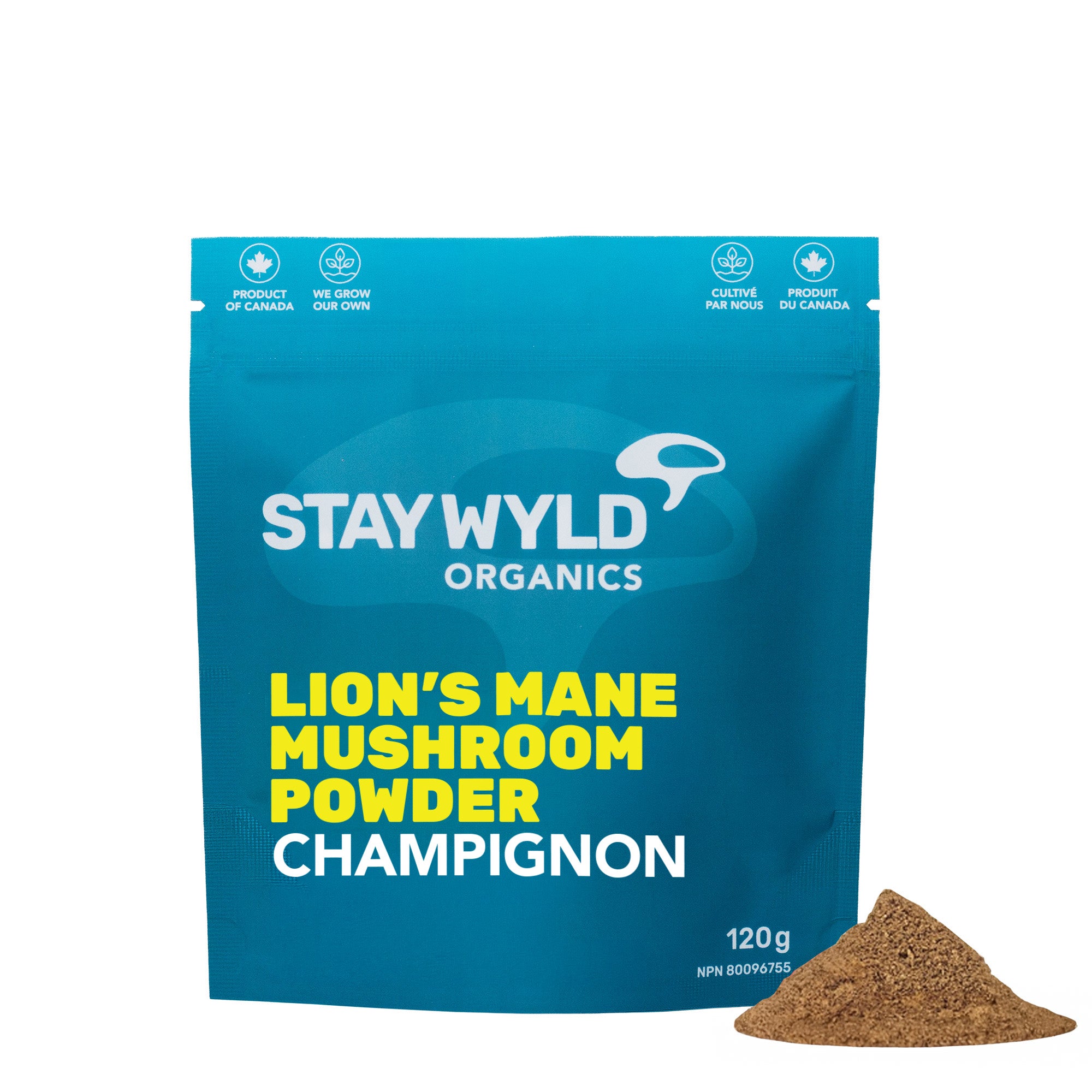 Lion's Mane Mushroom Powder | 120g