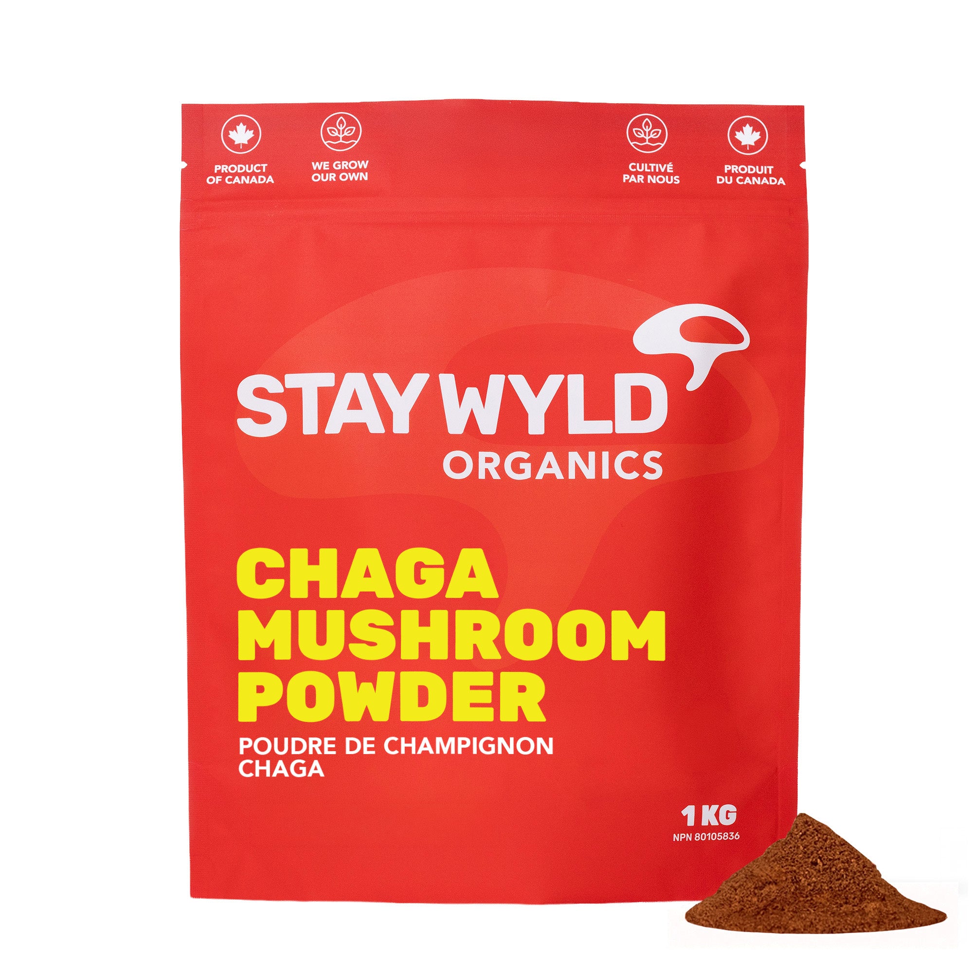 Bulk Chaga Mushroom Powder | 1kg