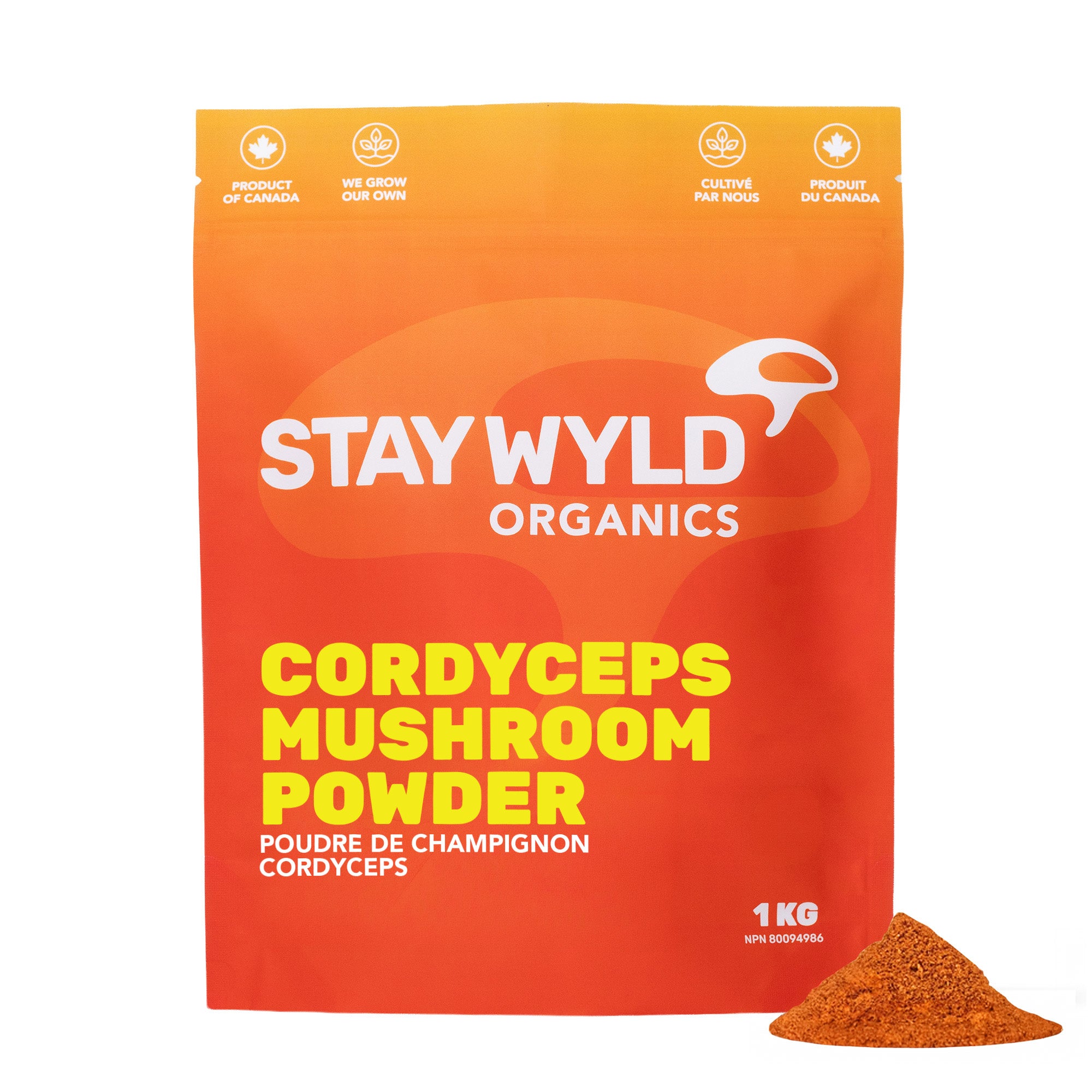 Bulk Cordyceps Supplement Mushroom Powder | 1kg