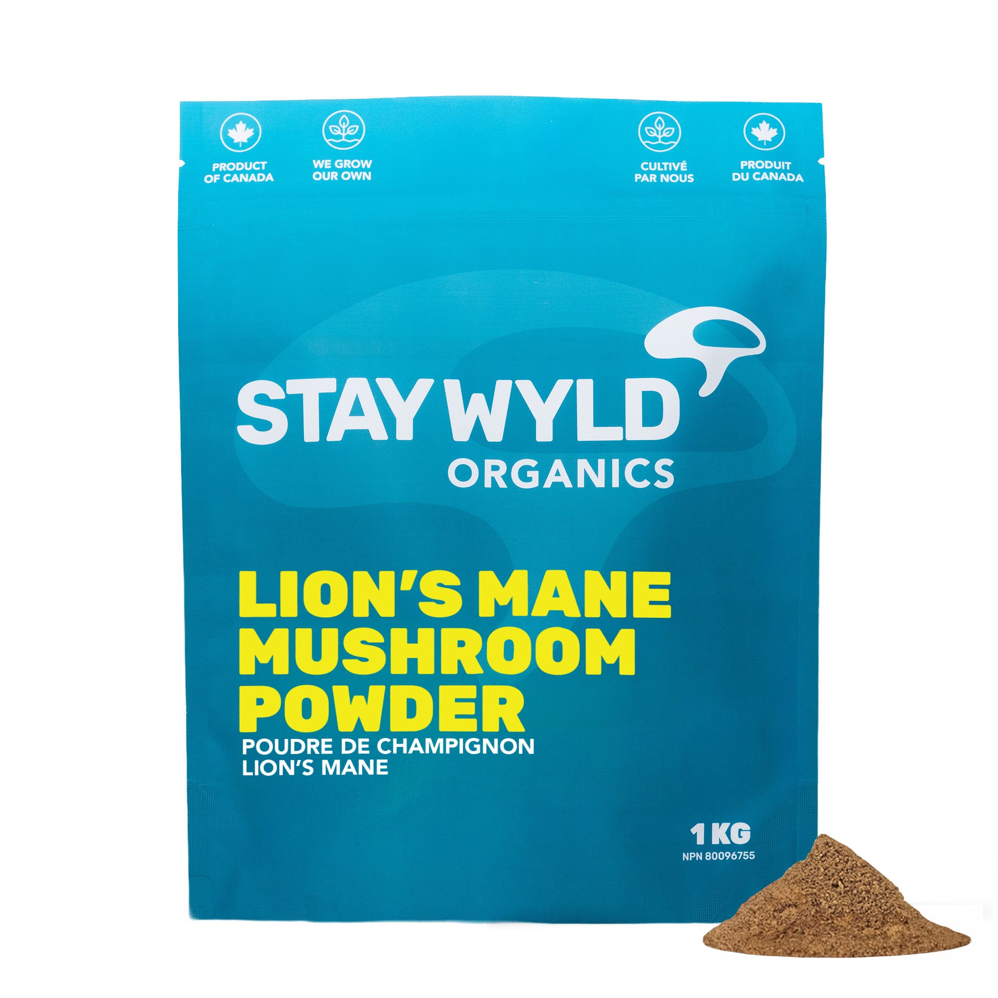 Lion's Mane Mushroom Powder Bulk | 1kg