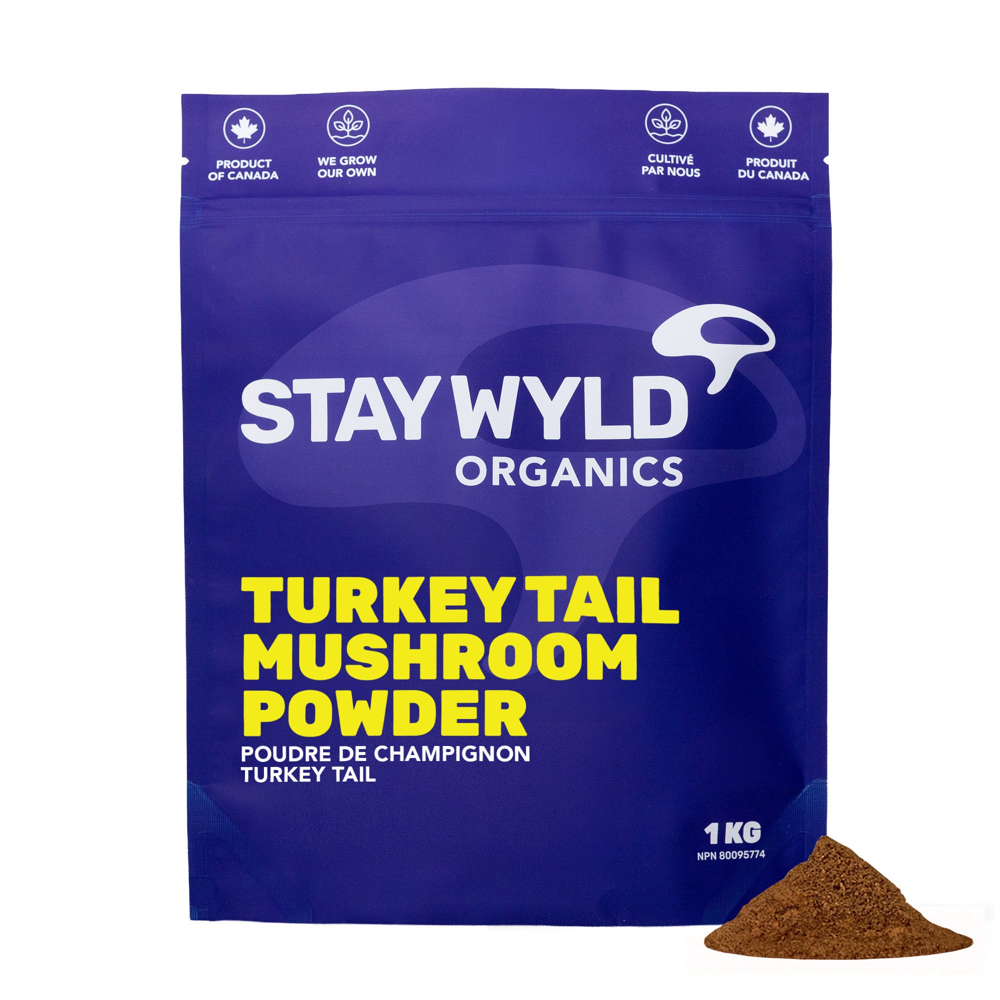 Turkey Tail Mushroom Powder Bulk | 1kg