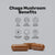 Chaga Mushroom Capsules