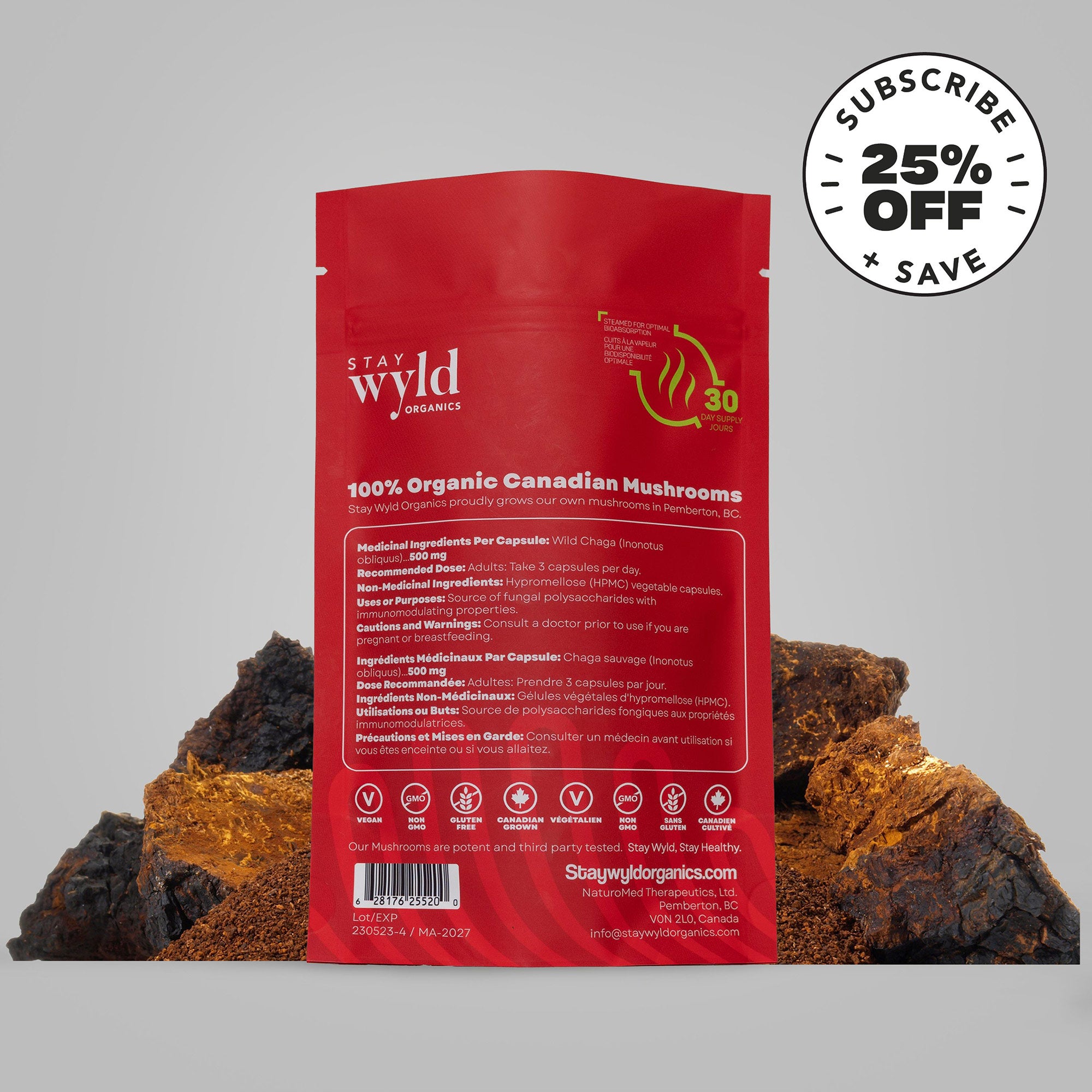 Gélules de champignon Chaga