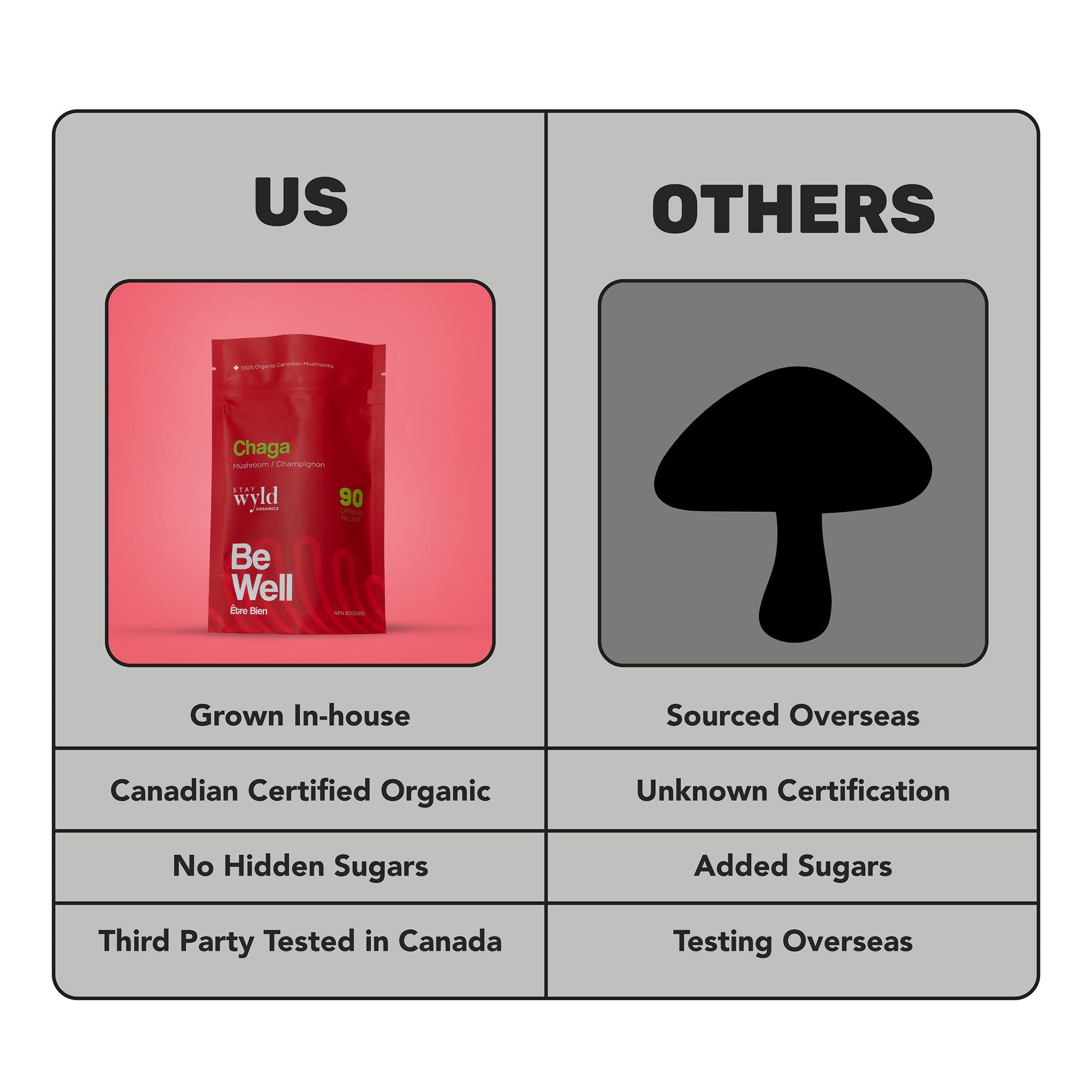 Gélules de champignon Chaga