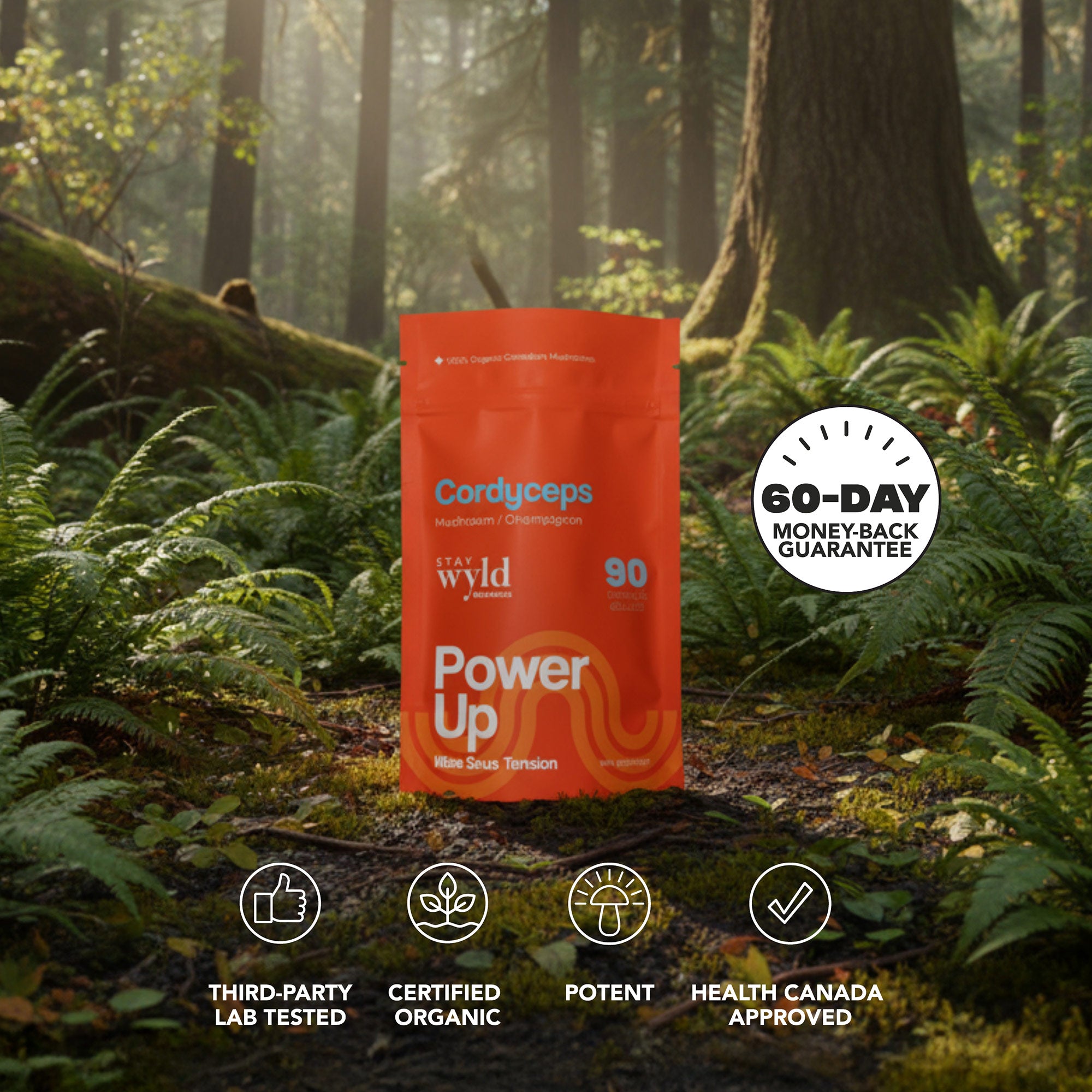 Cordyceps Mushroom Capsules