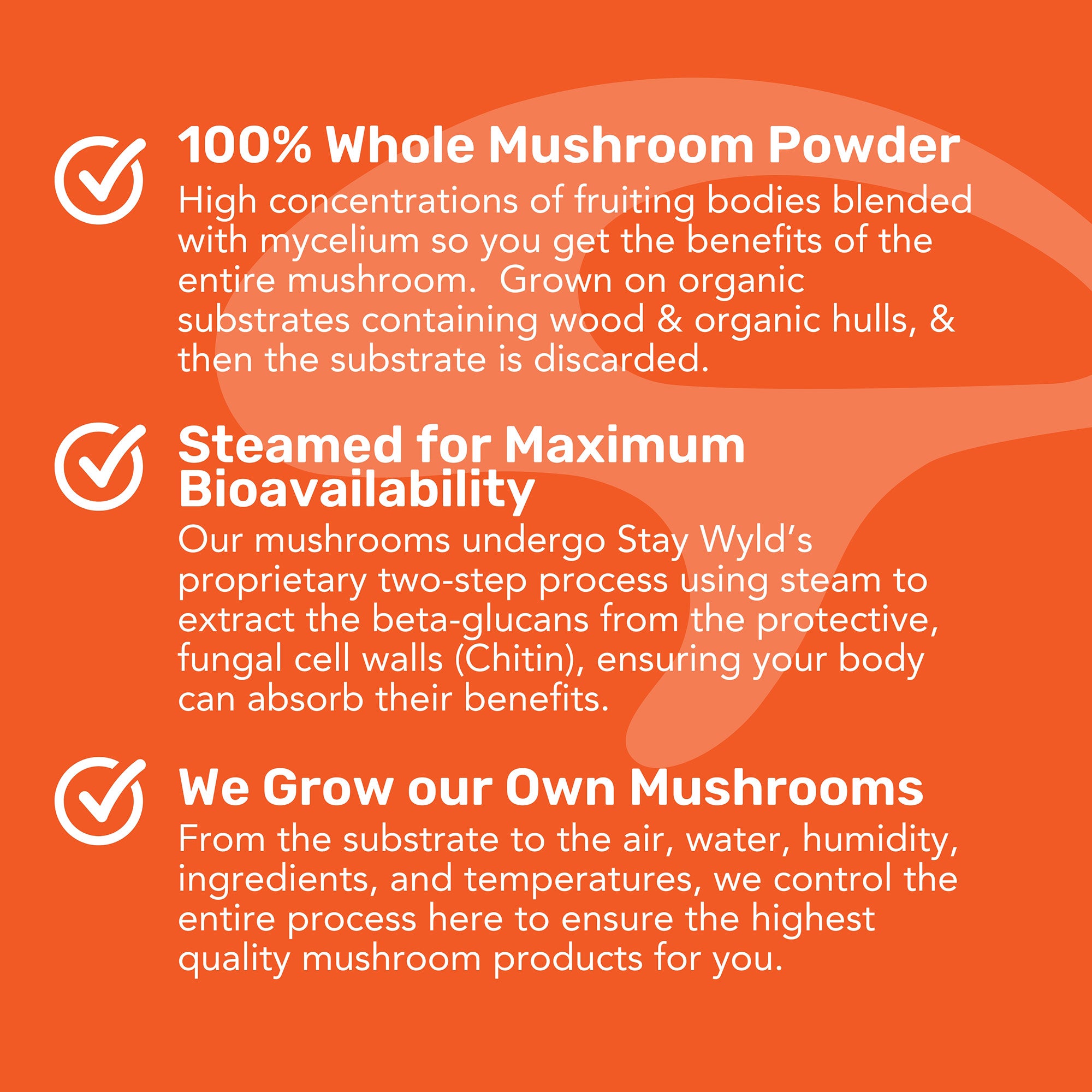 Super Energy and Performance Bundle