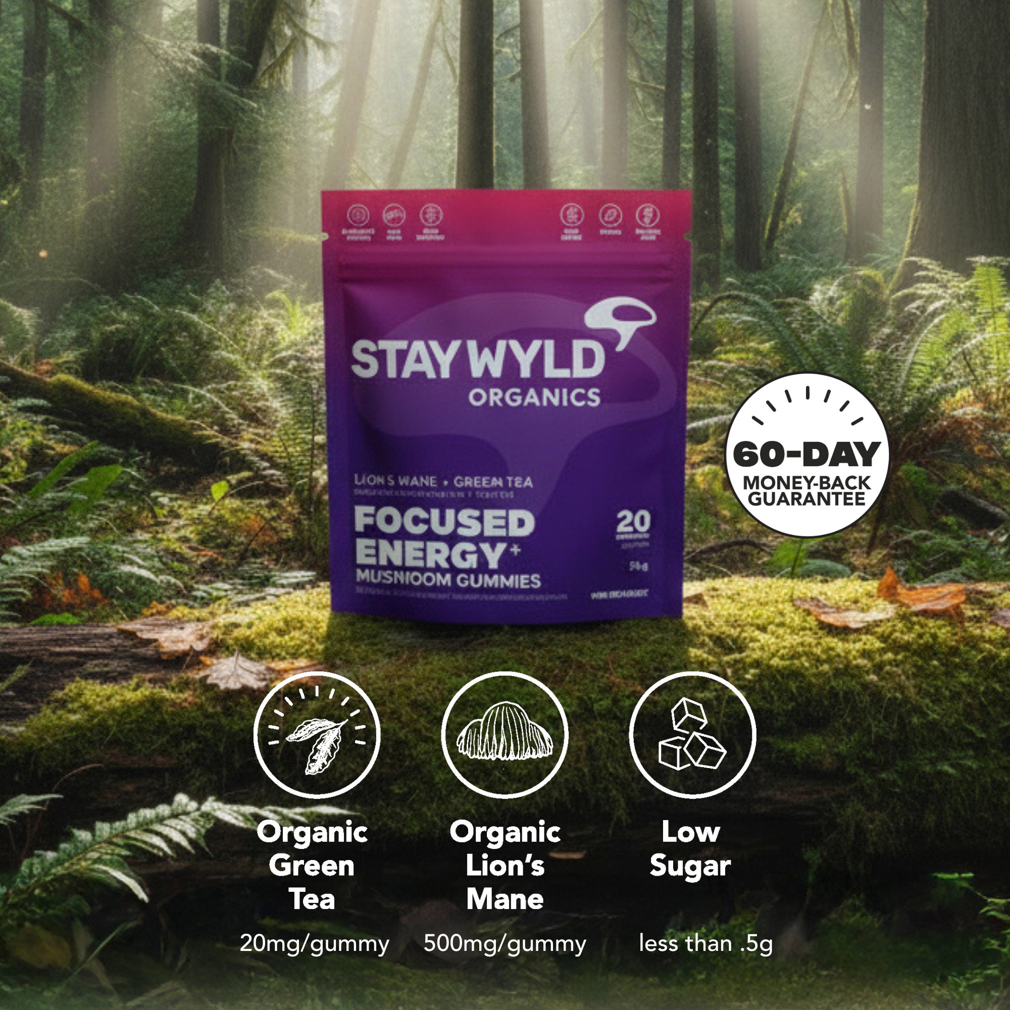 Focused Energy Gummies | 20 pack