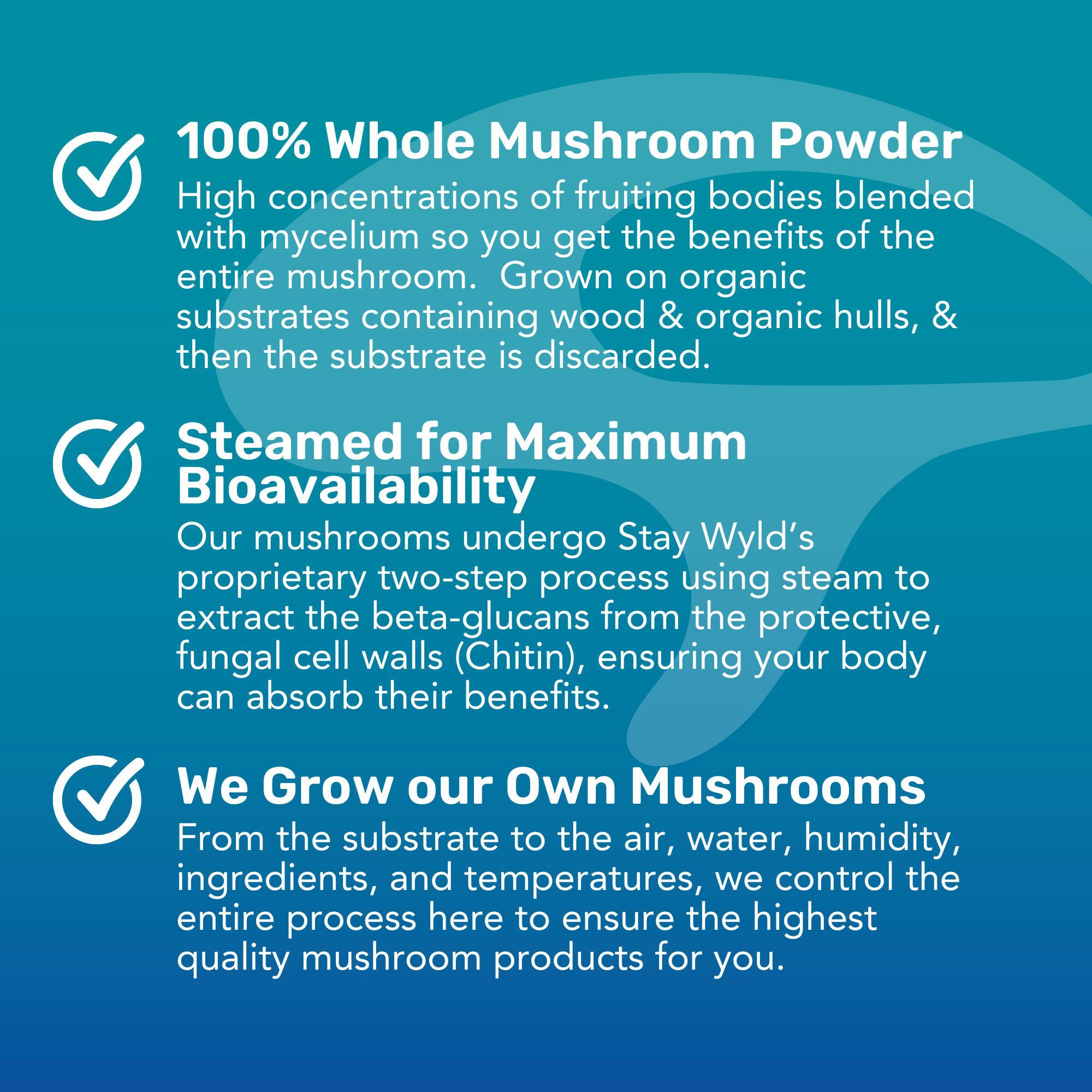 Super Mushroom Gummy Bundle