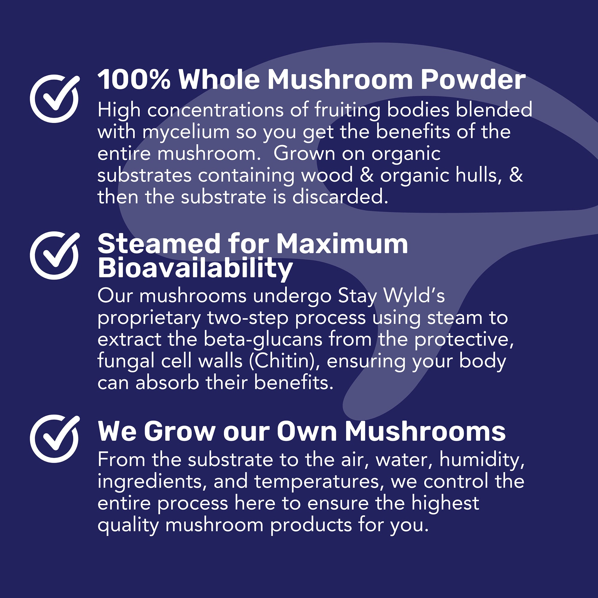 Gélules de champignons Reishi