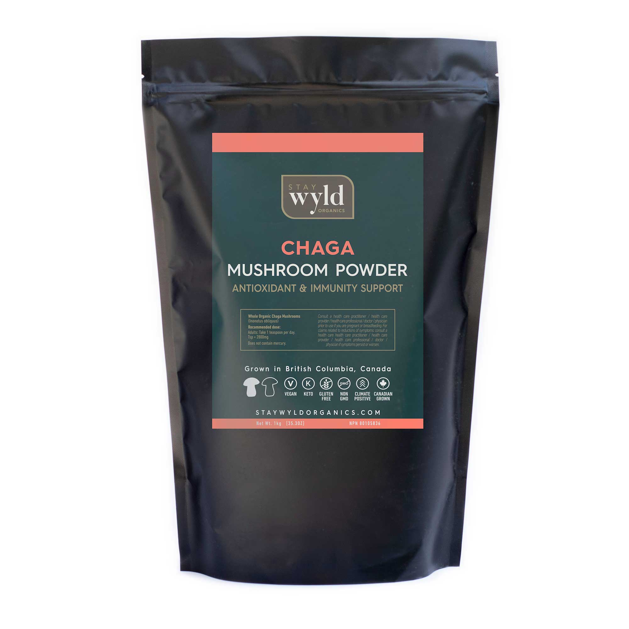 Bulk Chaga Mushroom Powder (1kg)