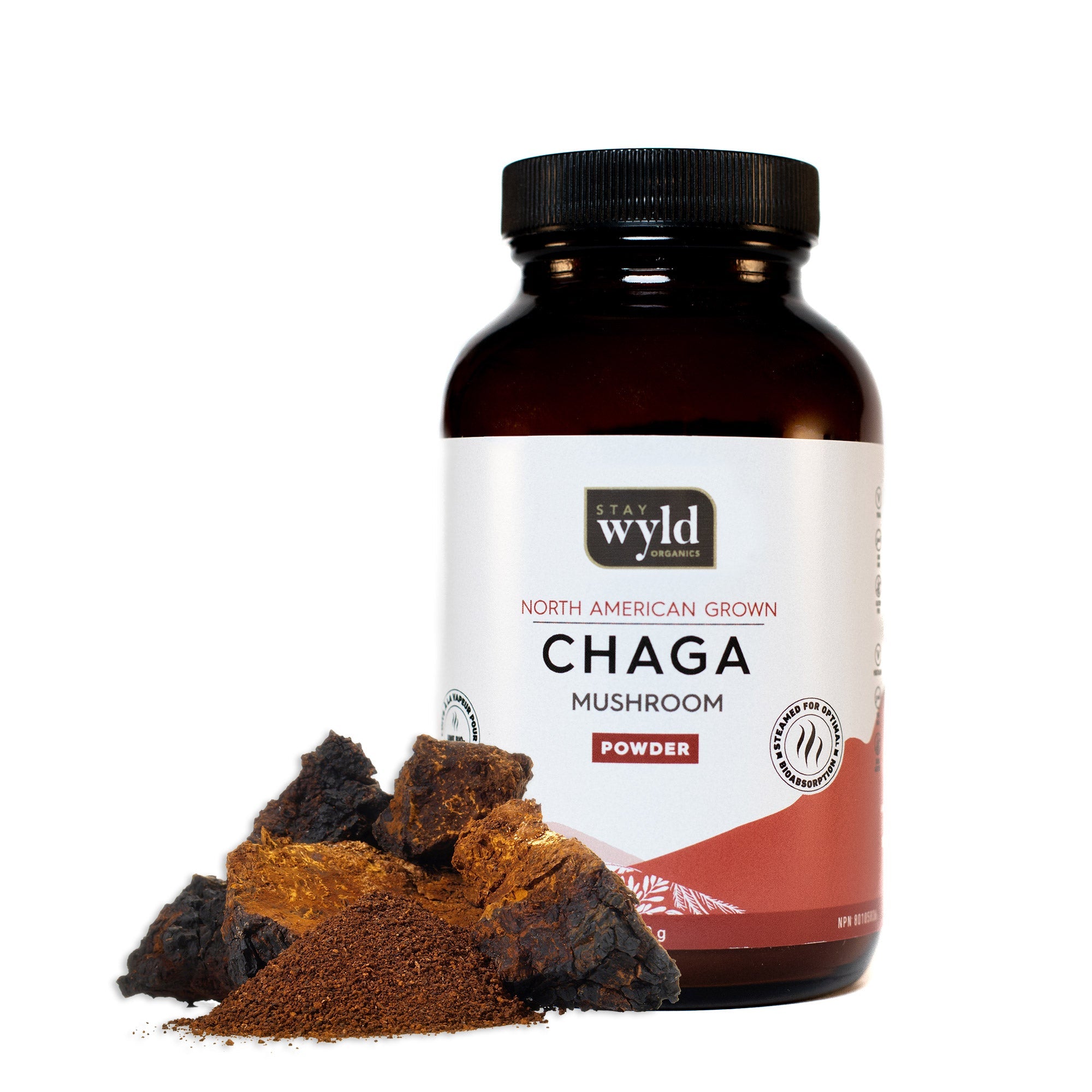 Chaga Mushroom Powder